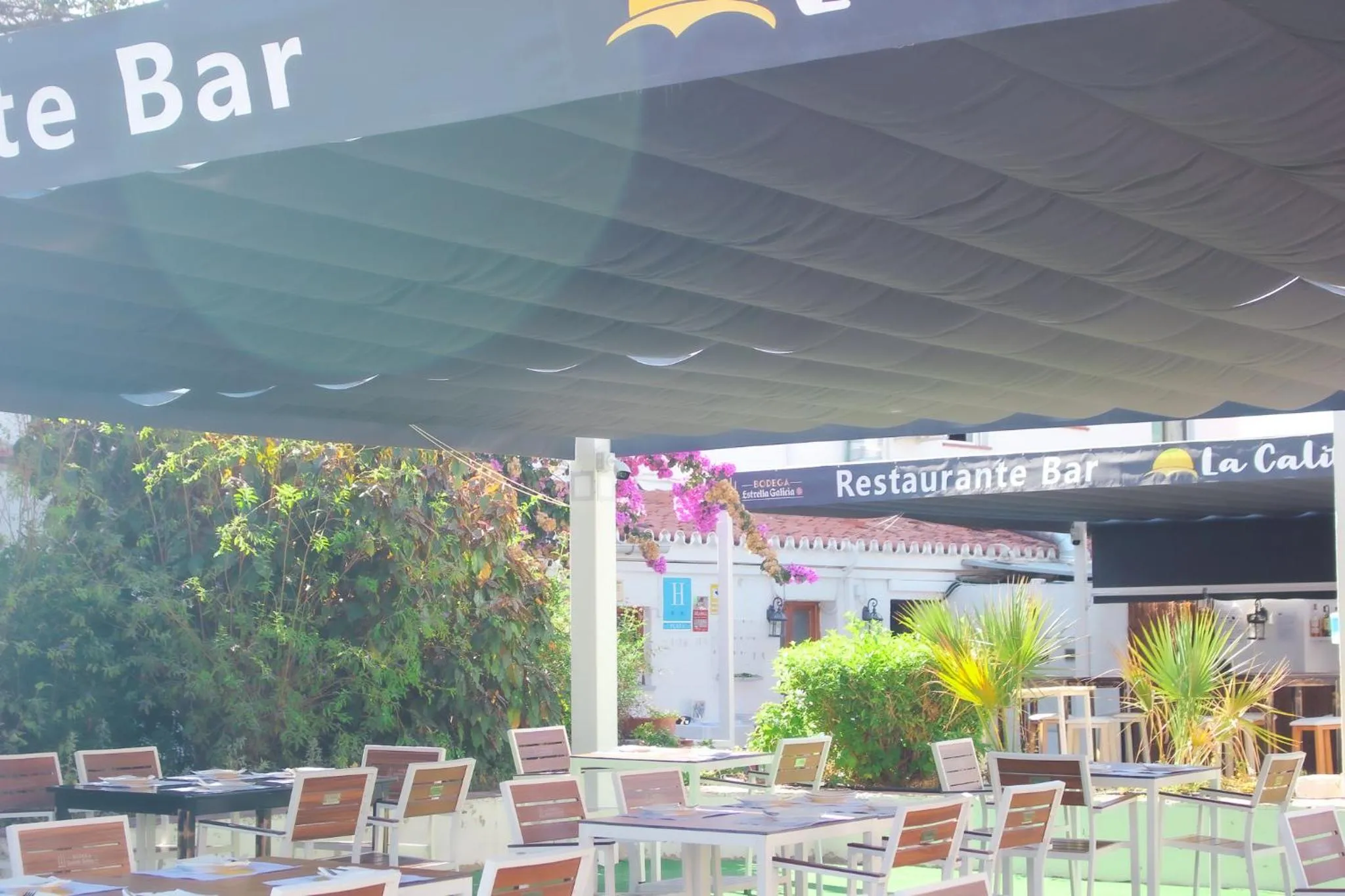 Restaurant/places to eat in Hotel Patricia