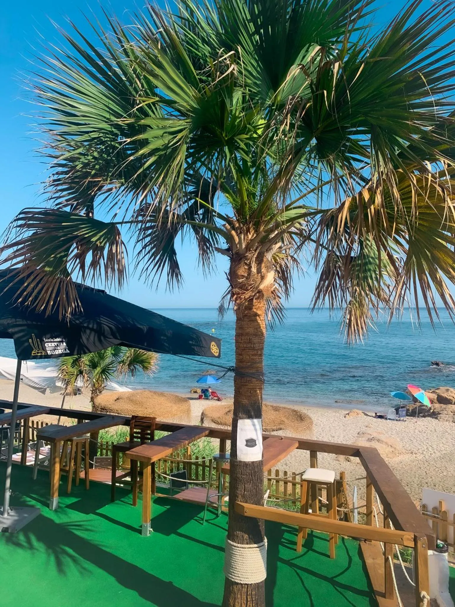 Lounge or bar in Hotel Patricia