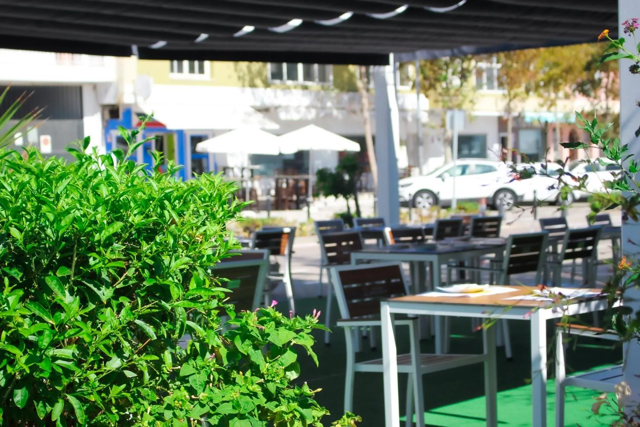 Restaurant/places to eat in Hotel Patricia