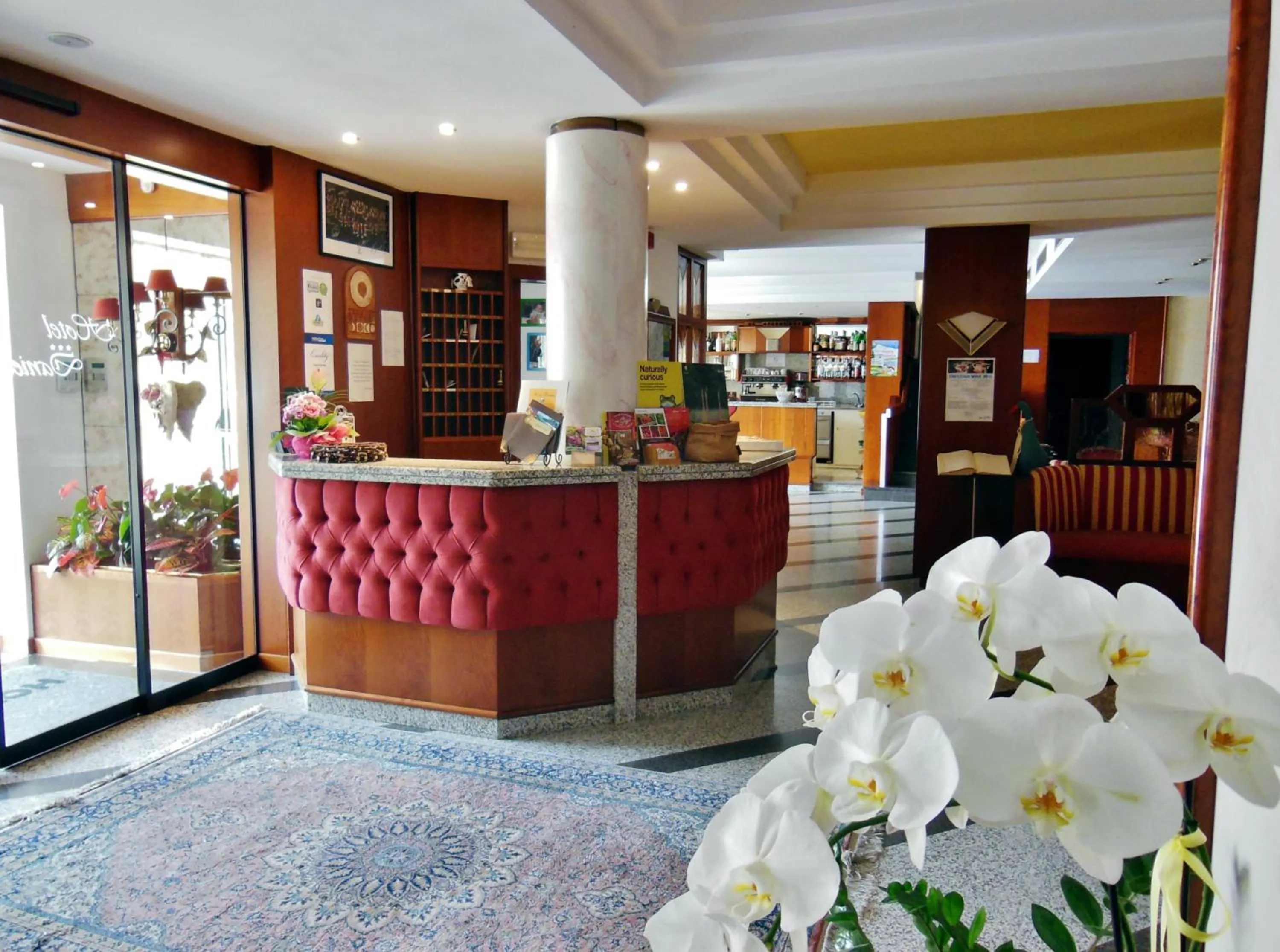 Lobby or reception in Hotel Daniela