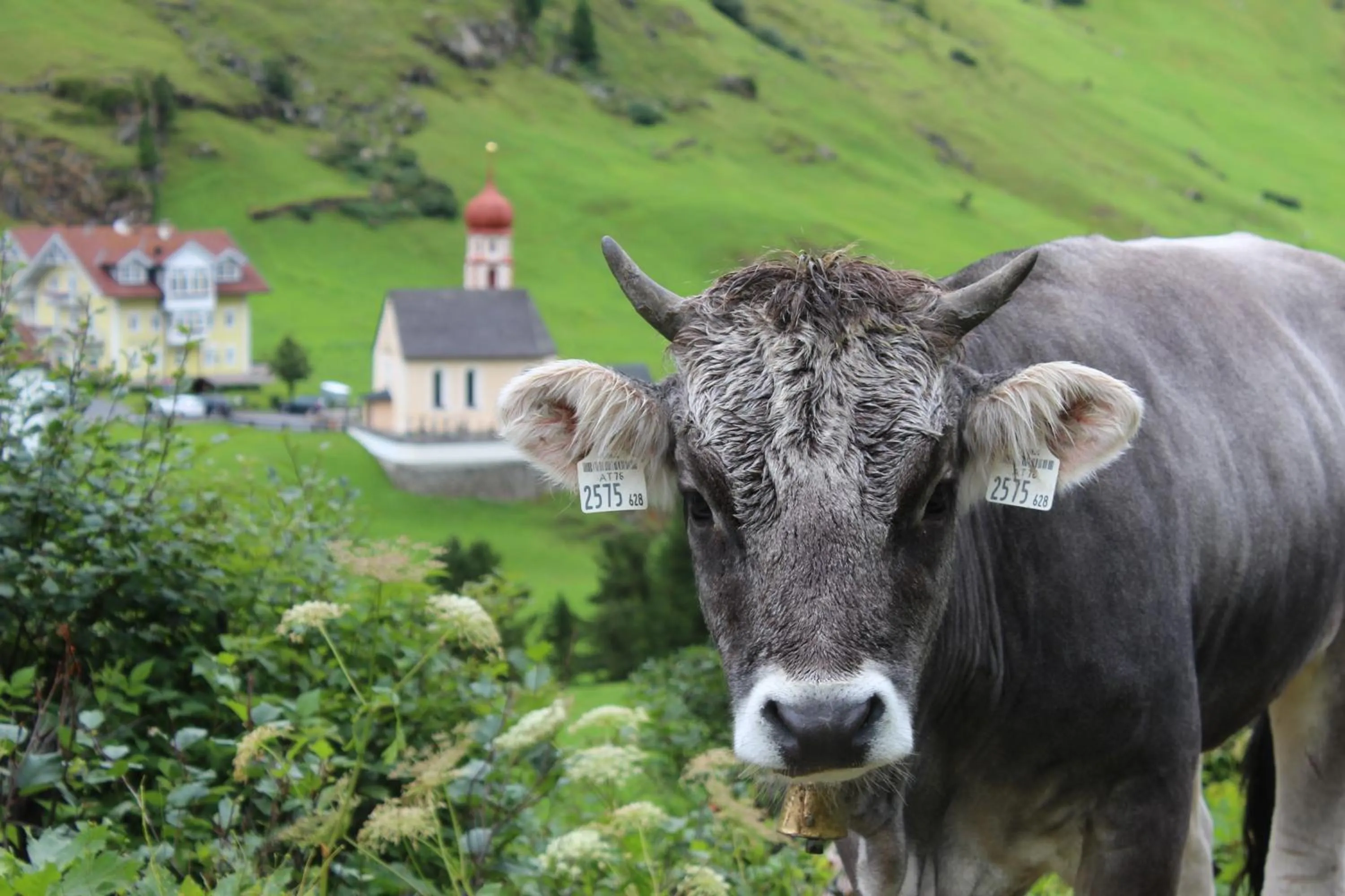 Other in Natur-&Alpinhotel Post