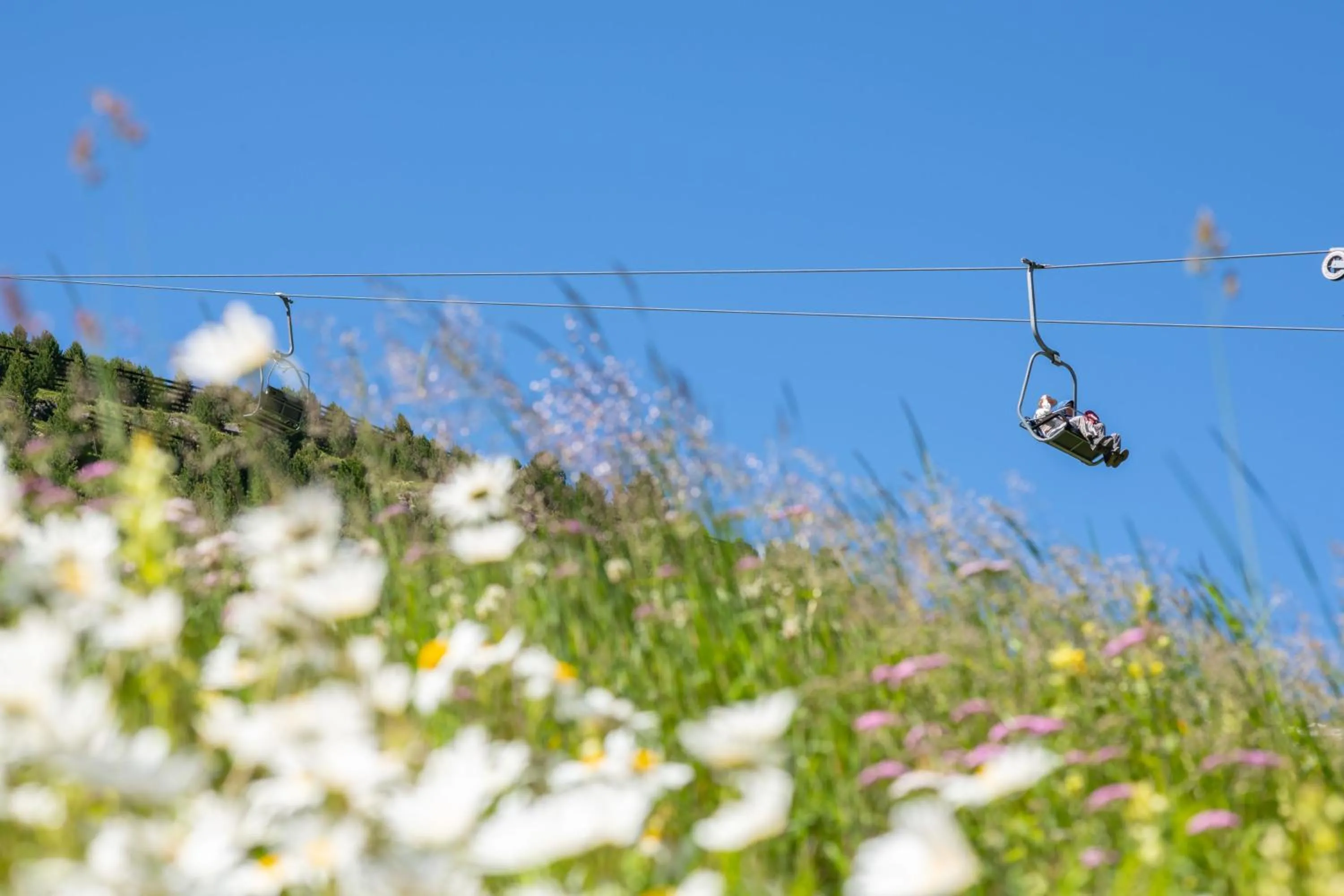 Natural landscape in Natur-&Alpinhotel Post
