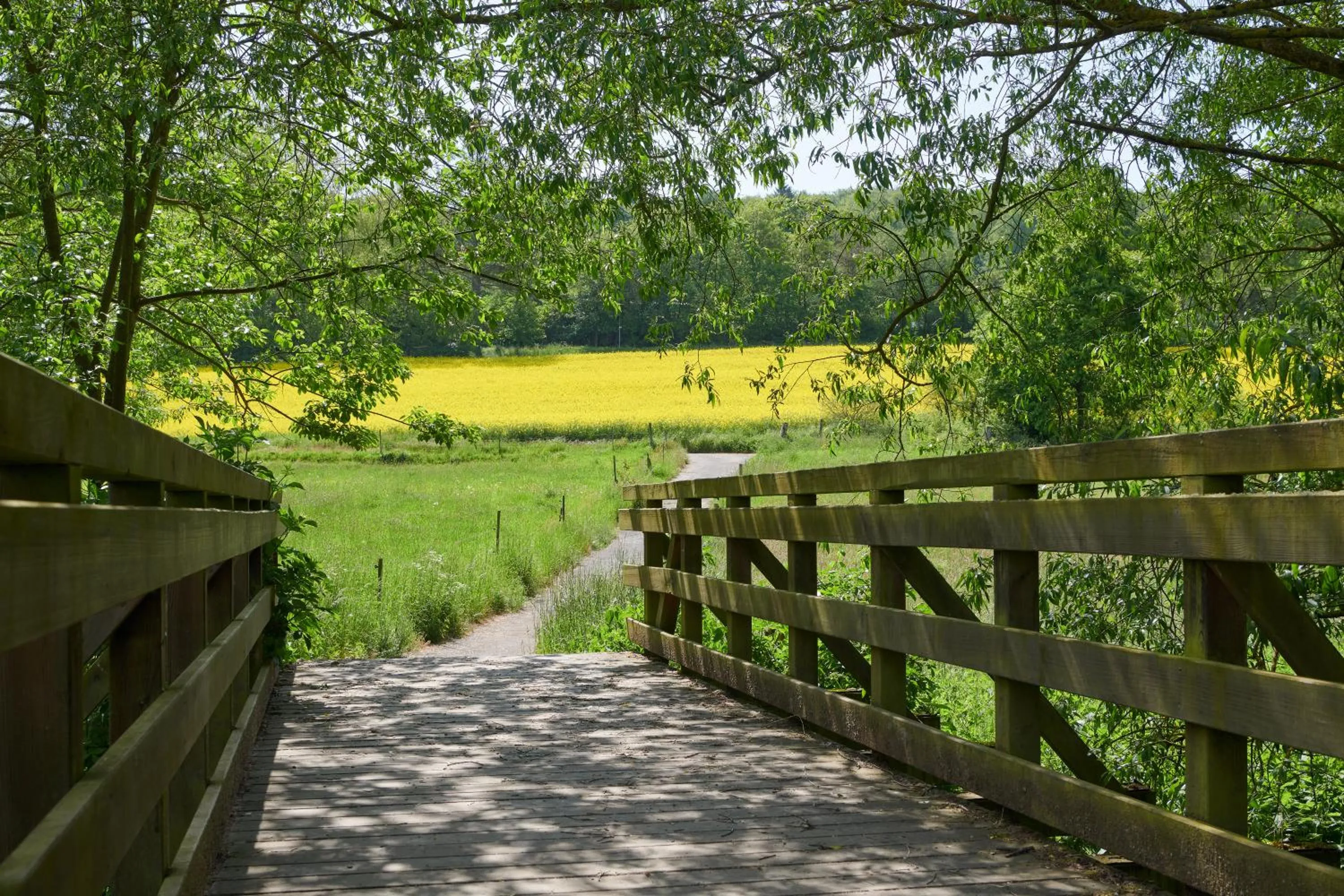 Natural landscape in Hotel Der Grischäfer