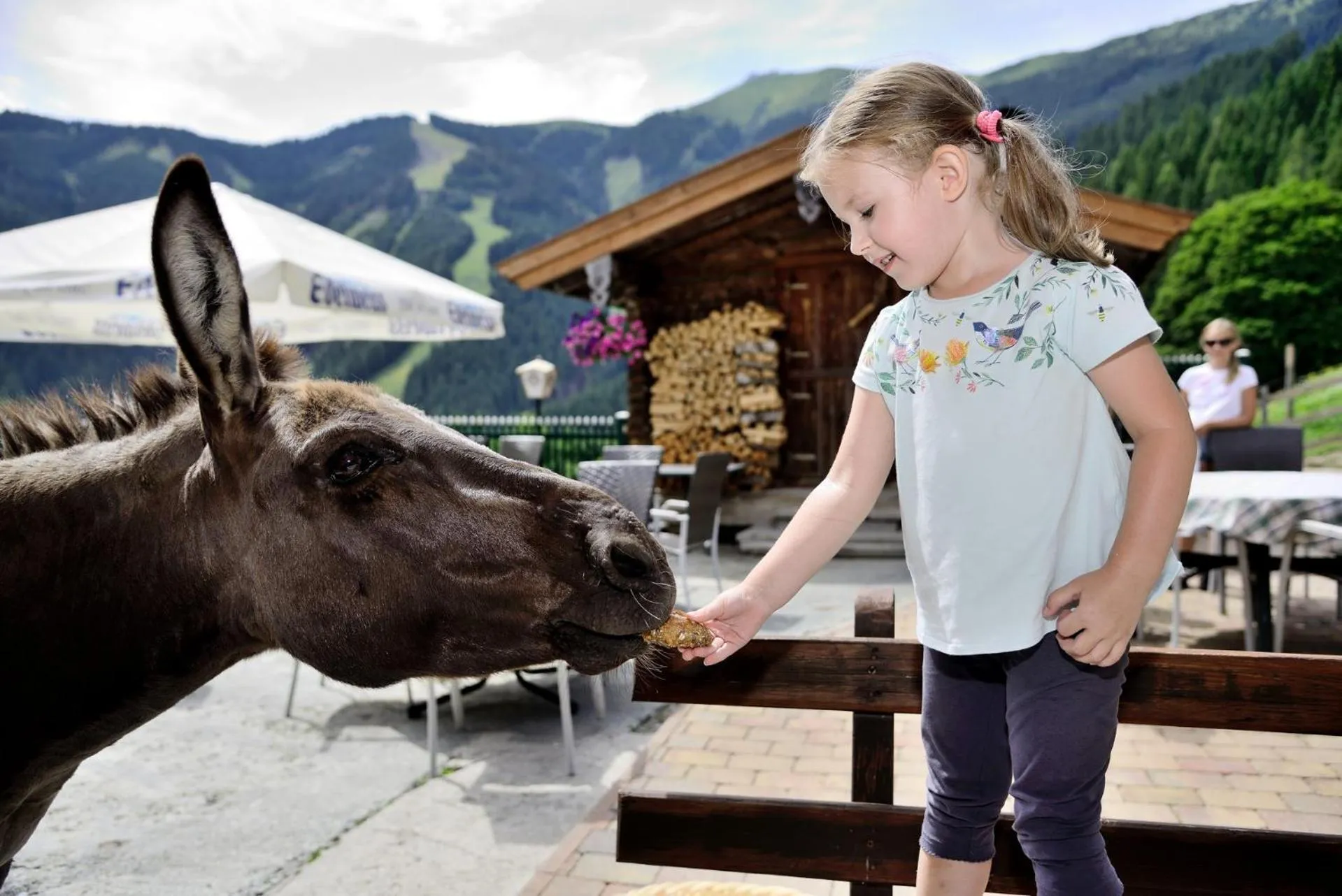 Pets in Berghotel Jaga-Alm
