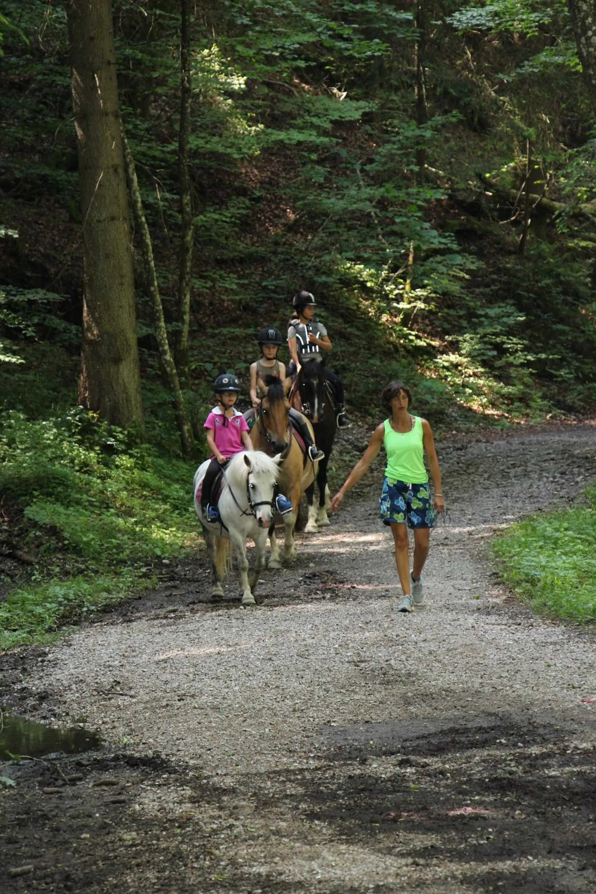 Horse-riding in Hotel Club Le Crêt