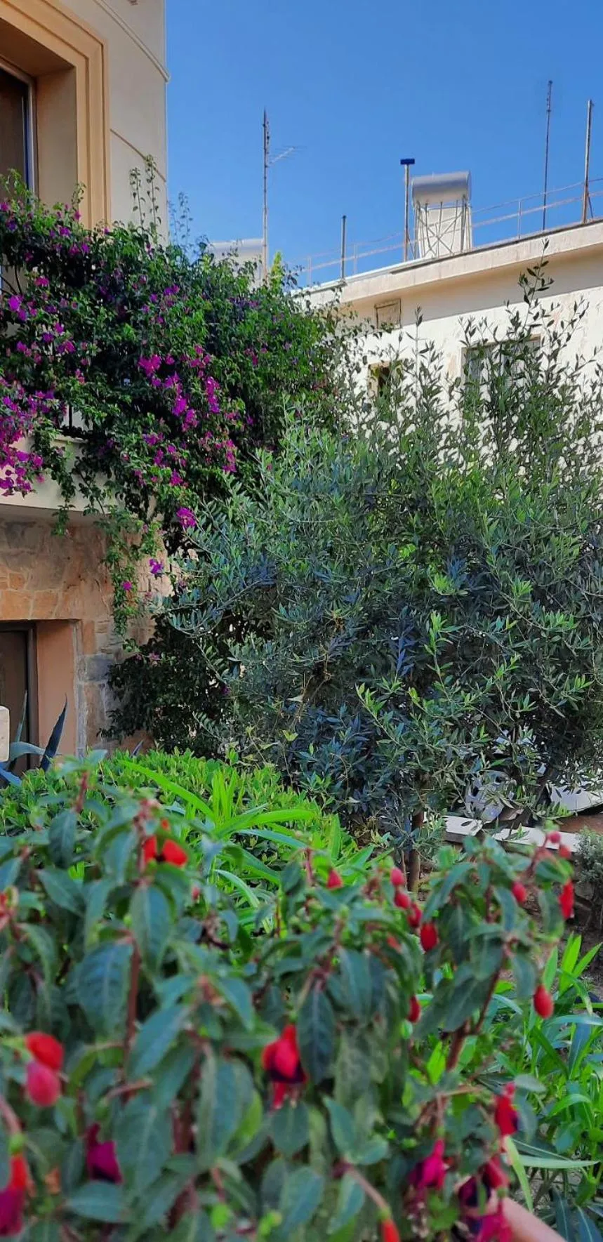 Property building in Olympic Fashion Hotels