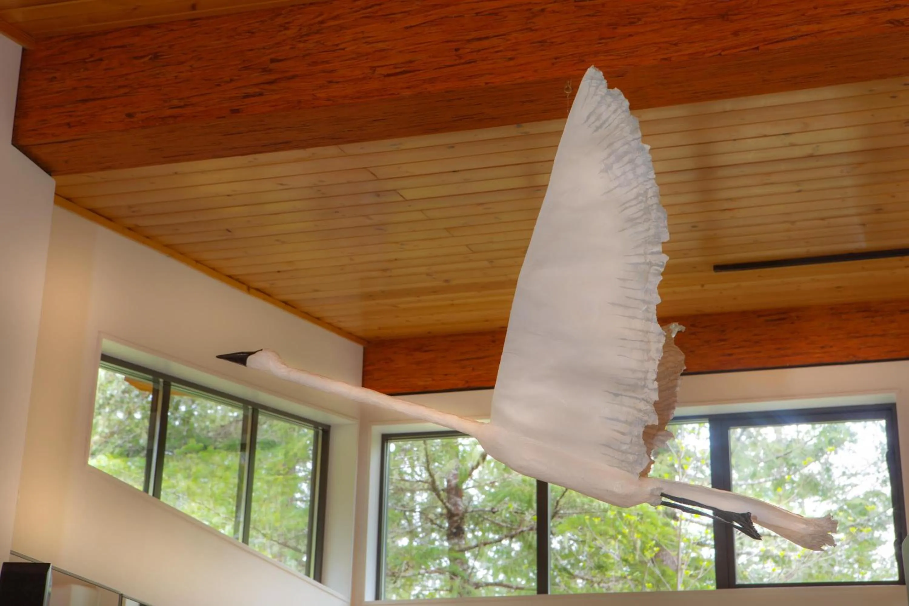 Other in The Perch at Moon Dance