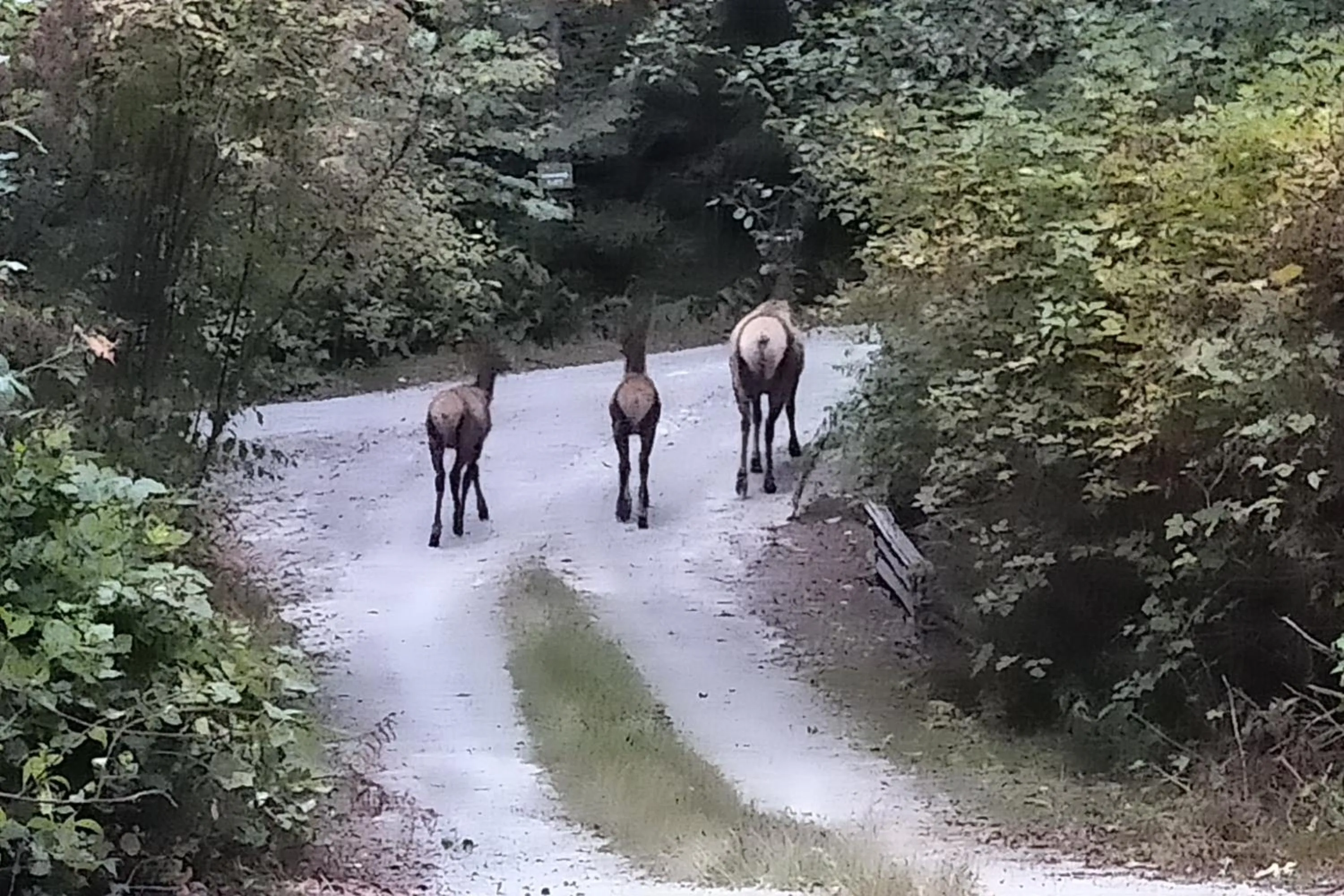 Garden in The Perch at Moon Dance