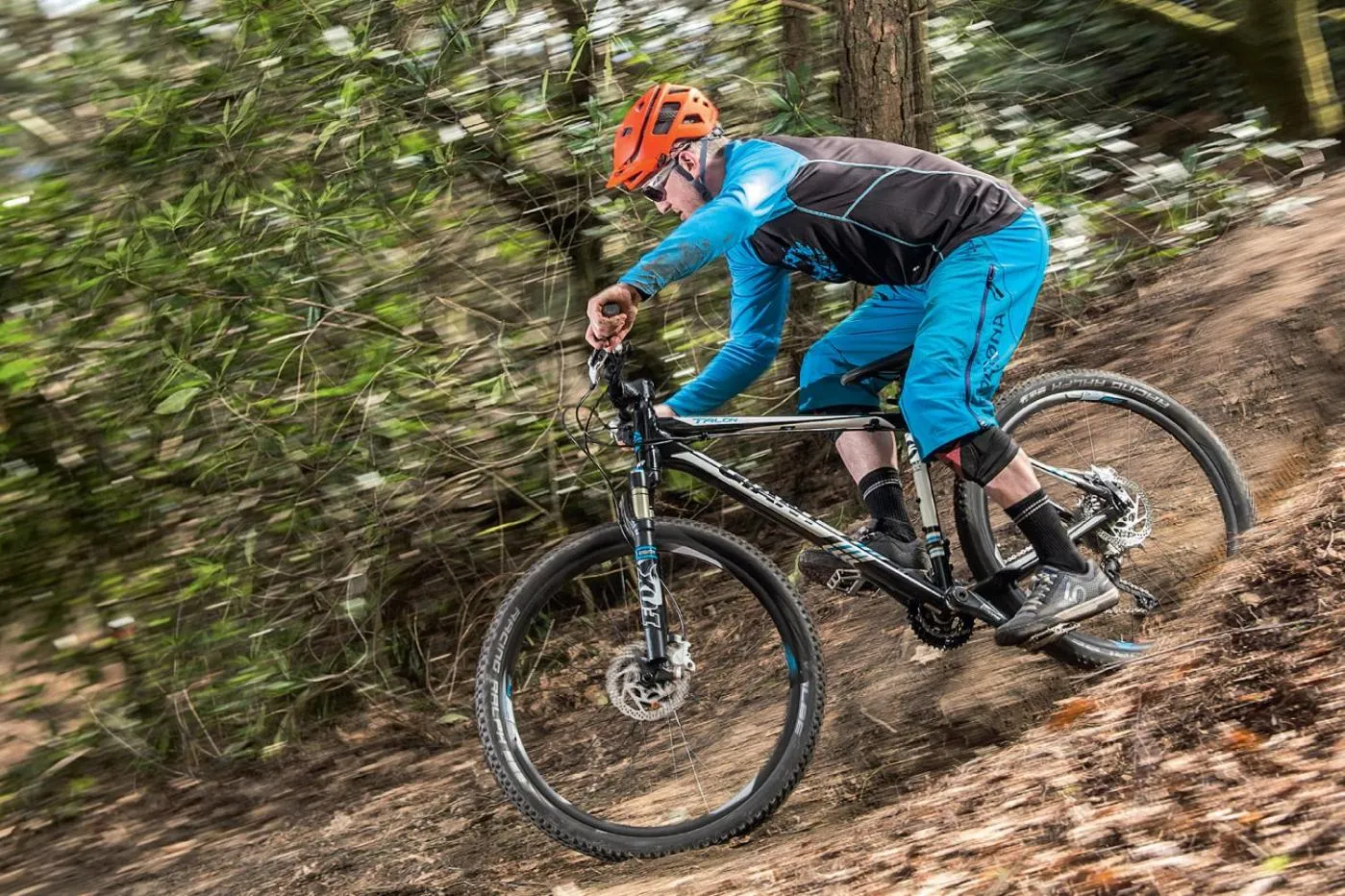 Activities in The Perch at Moon Dance