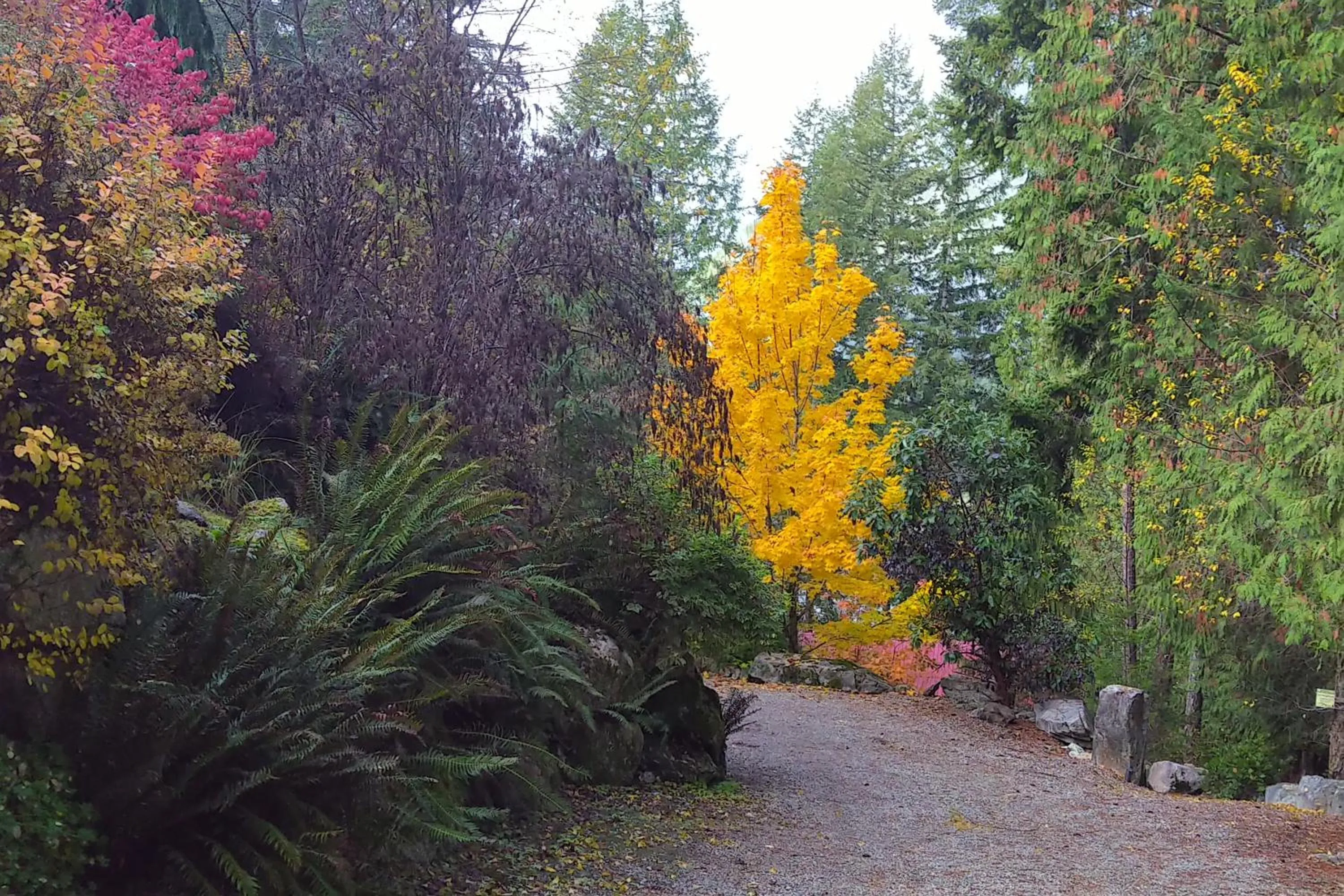 Garden in The Perch at Moon Dance