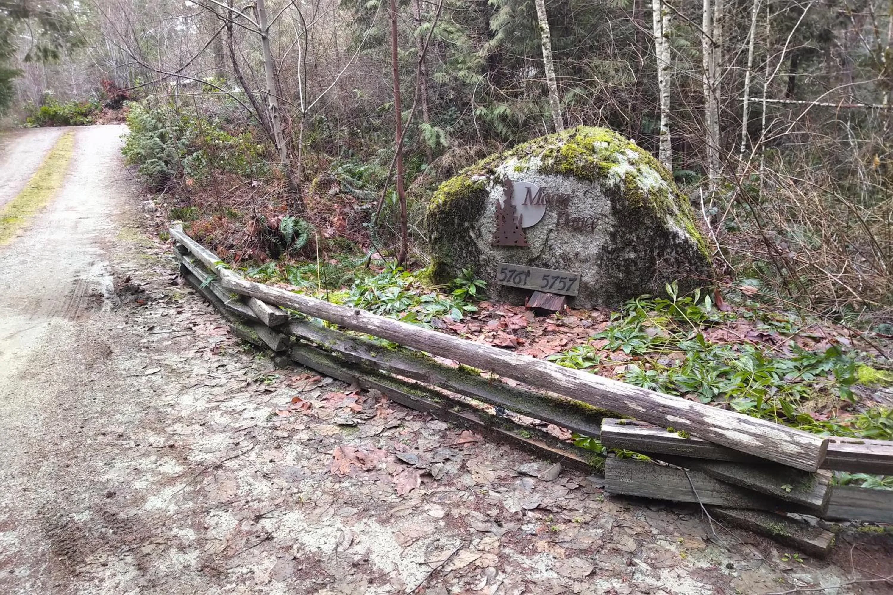 Other in The Perch at Moon Dance