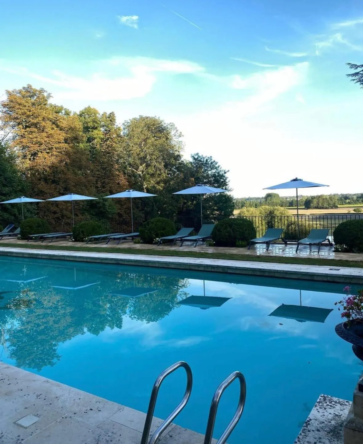 Swimming pool in Domaine Des Bidaudieres