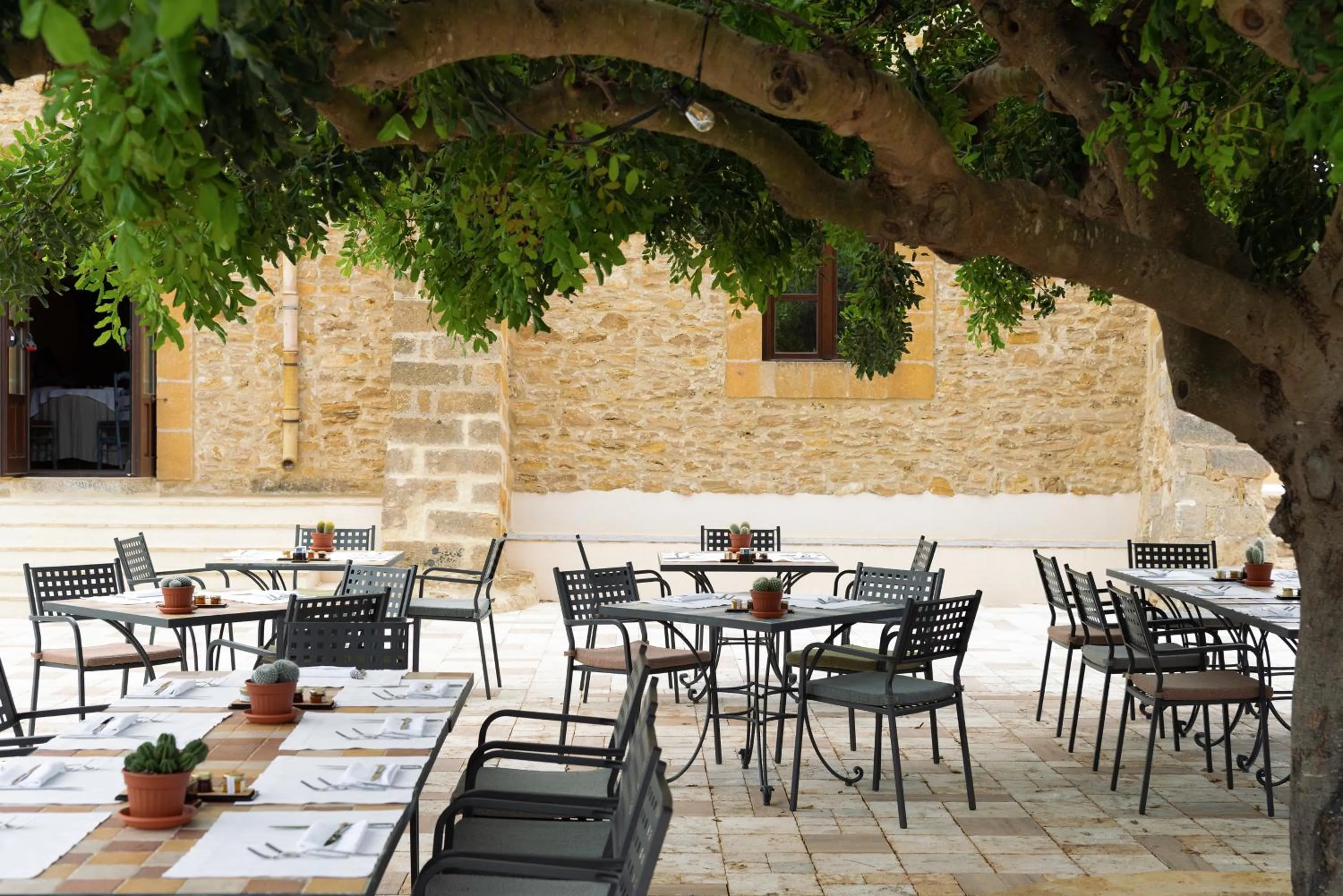 Restaurant/places to eat in Momentum Wellness Bioresort