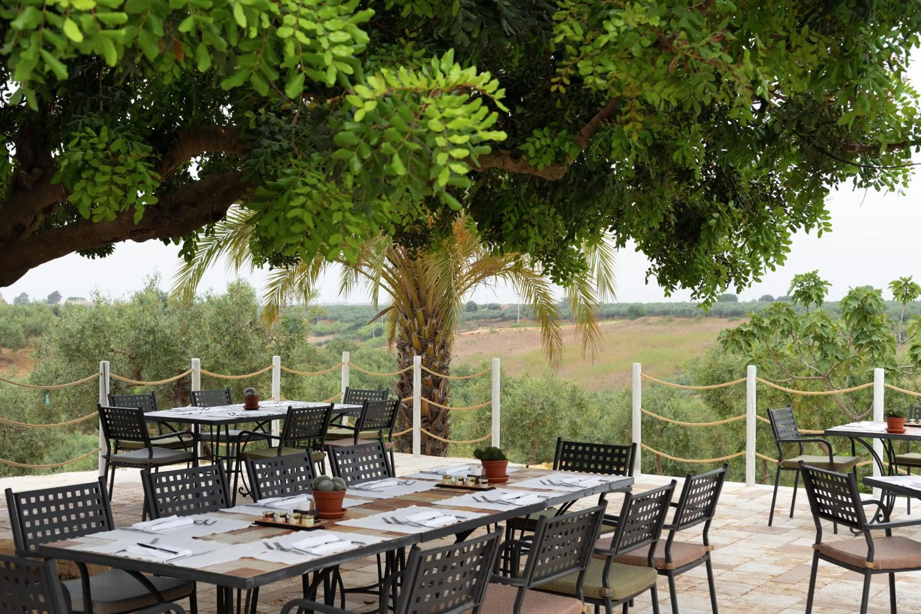 Restaurant/places to eat in Momentum Wellness Bioresort