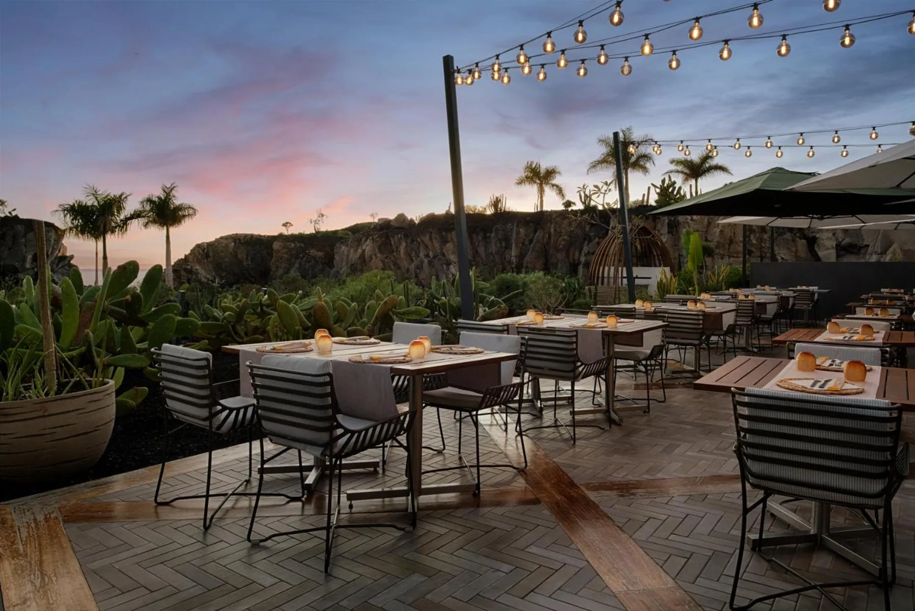 Restaurant/places to eat in Royal Hideaway Corales Suites