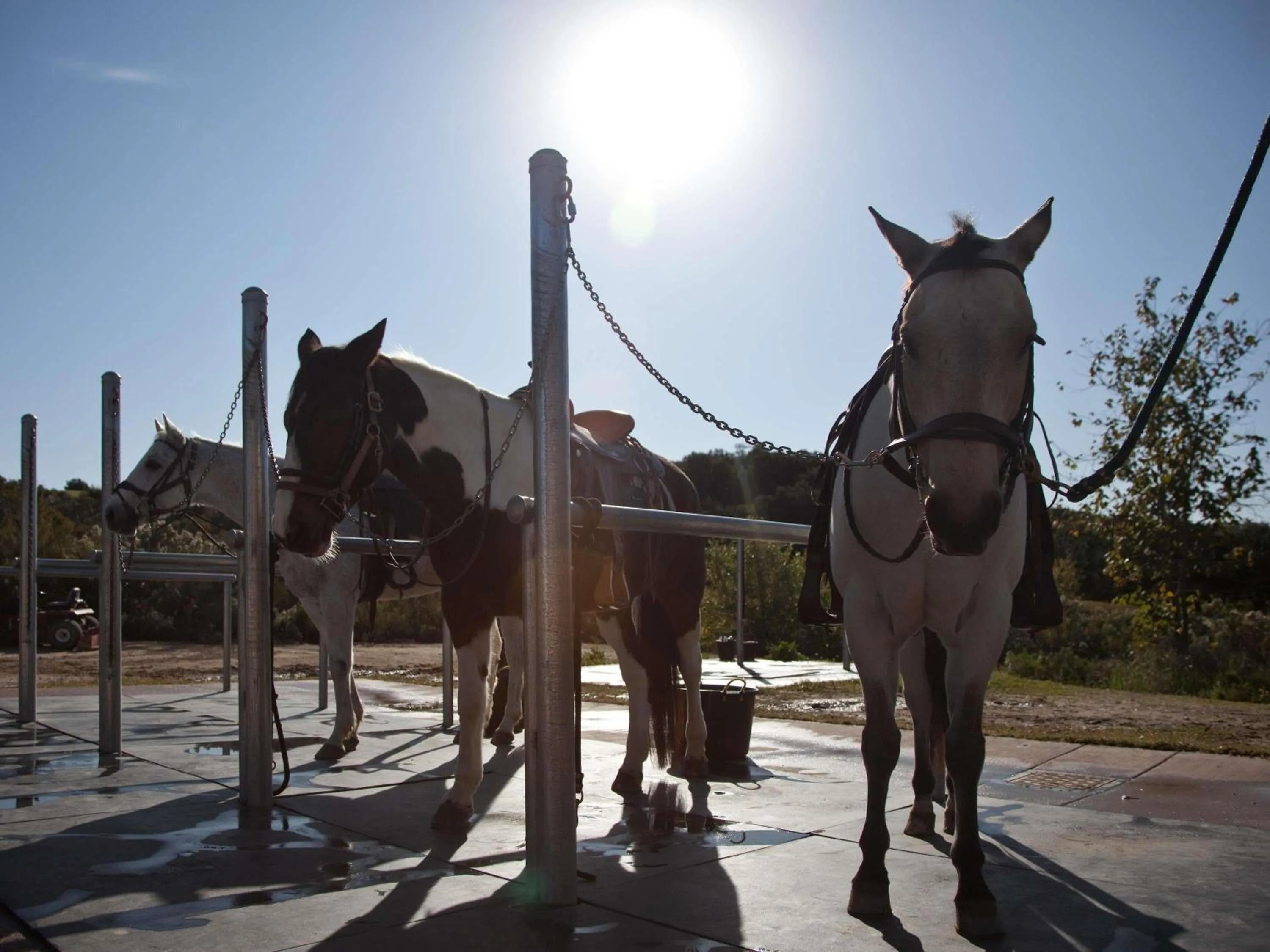 Other in Fairmont Grand Del Mar