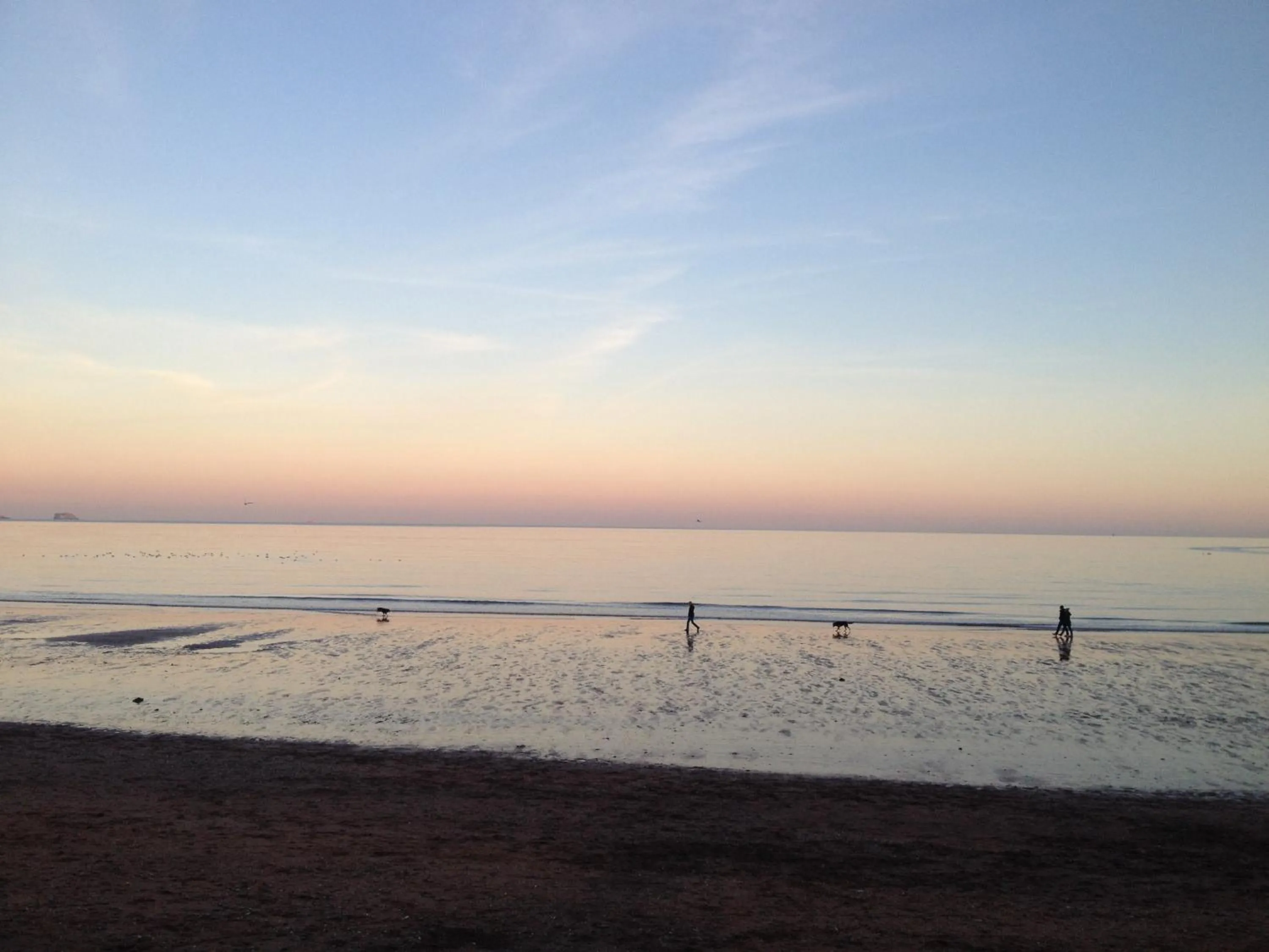 Off site in Beecroft Lodge