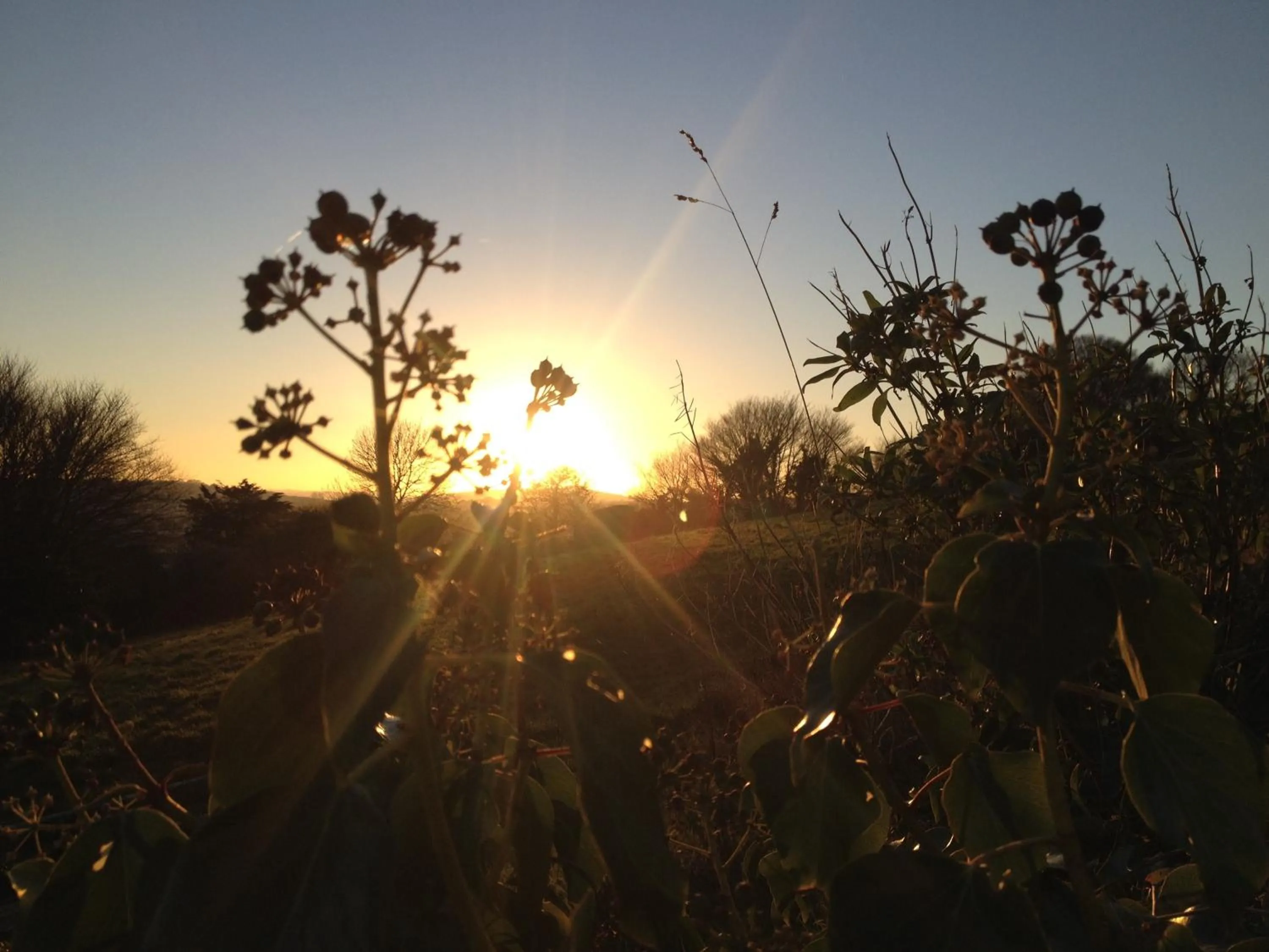 Off site in Beecroft Lodge