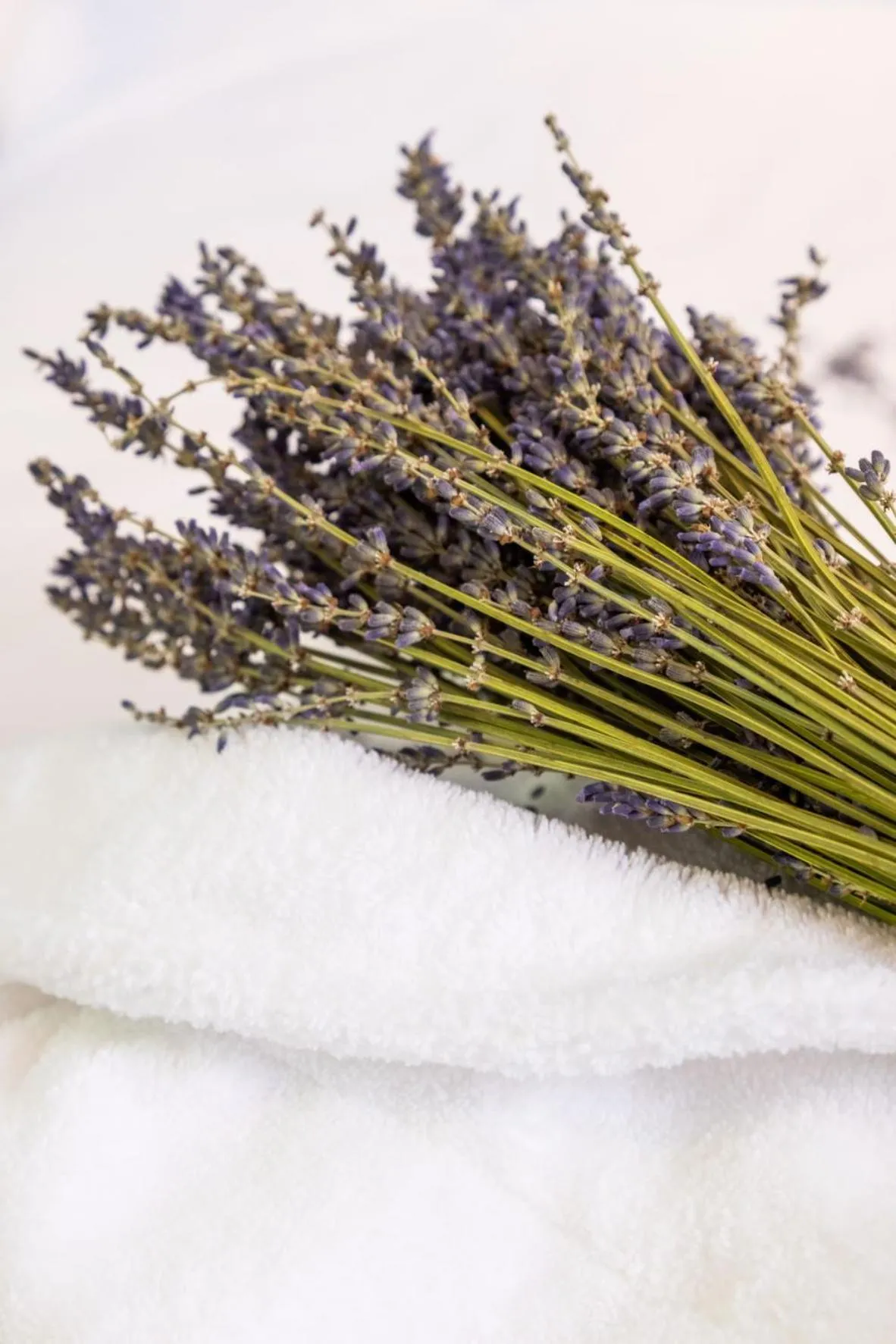 Decorative detail in Domaine Les Sources de Dieulefit