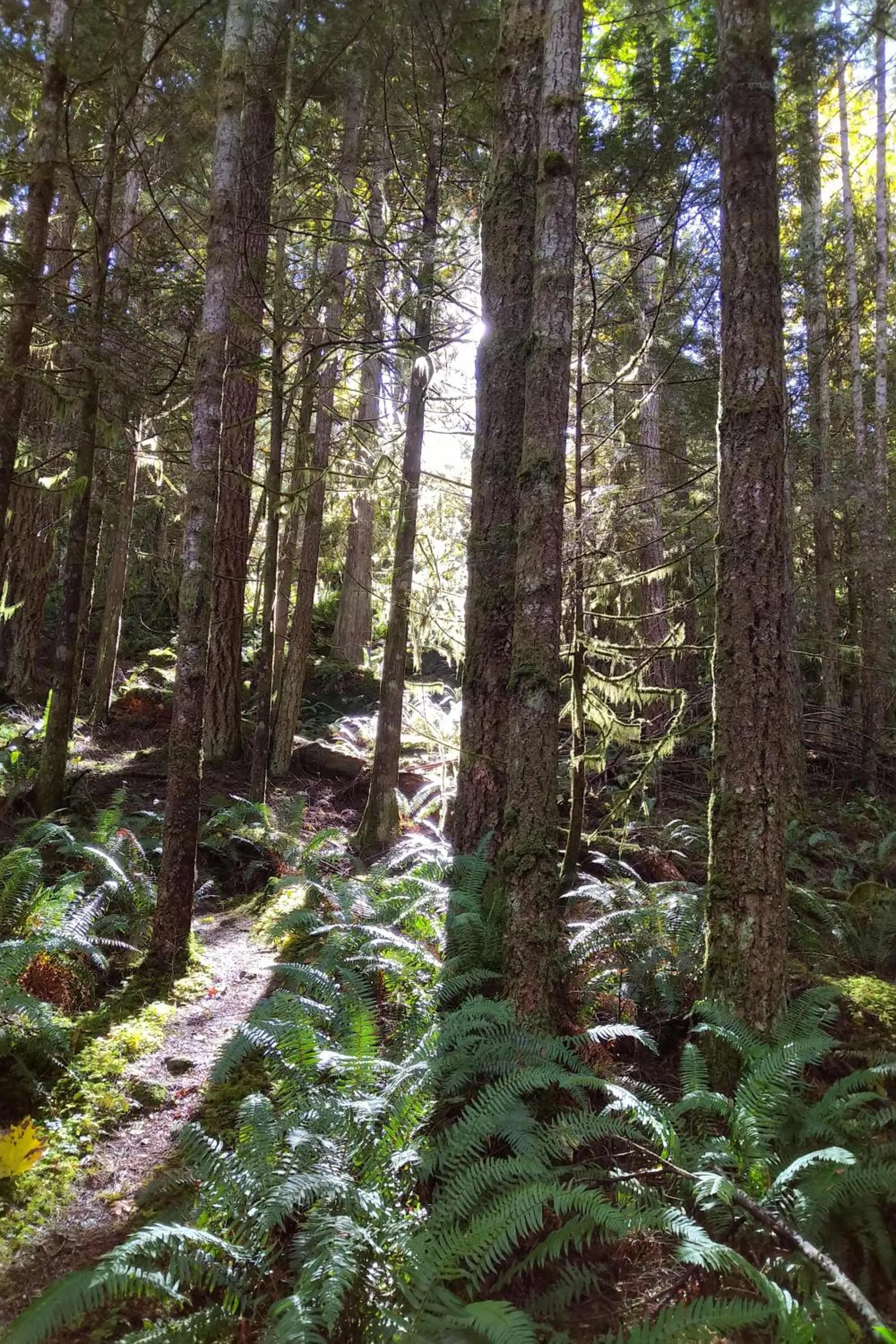 Natural landscape in The Cabin at Moon Dance
