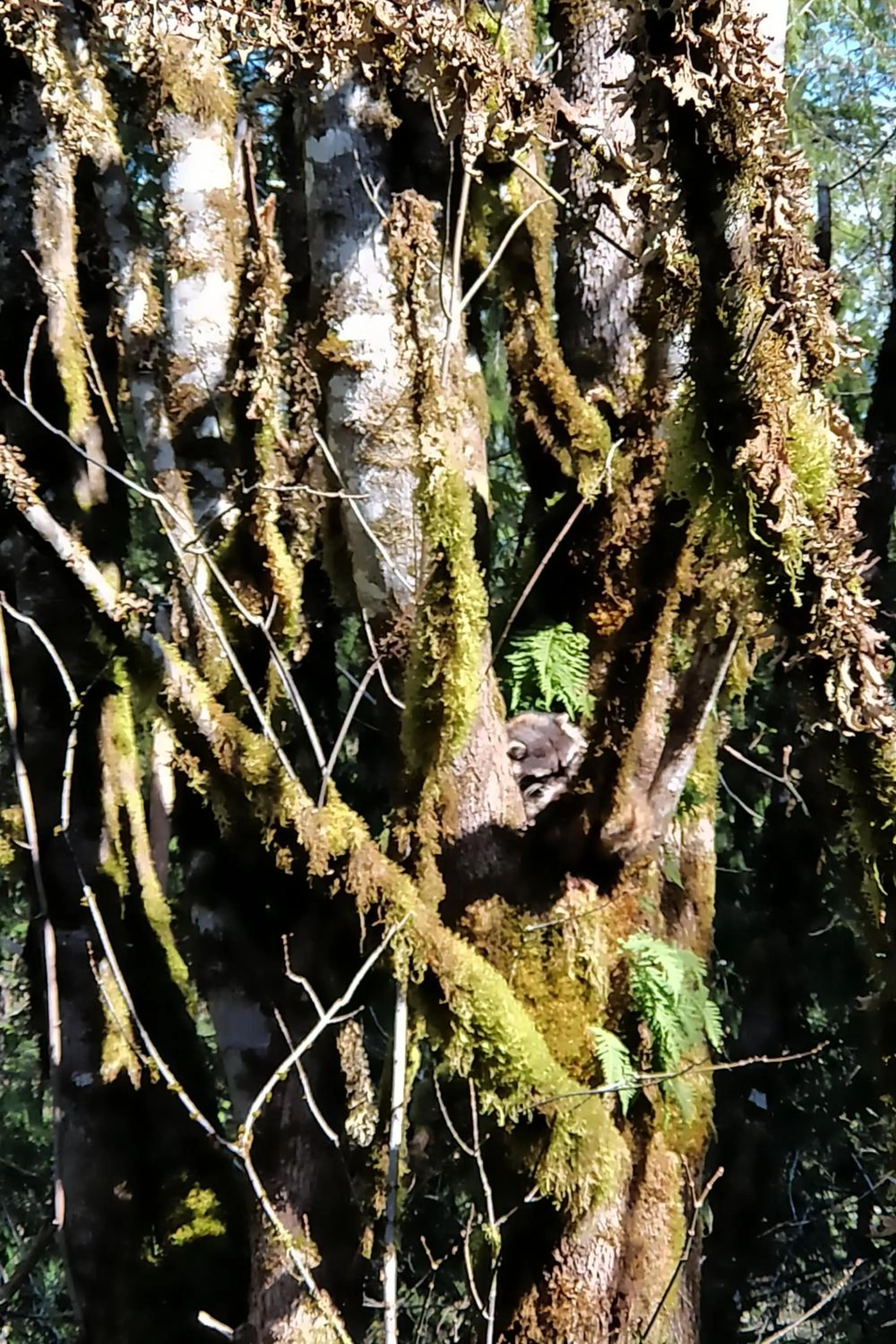 Natural landscape in The Cabin at Moon Dance