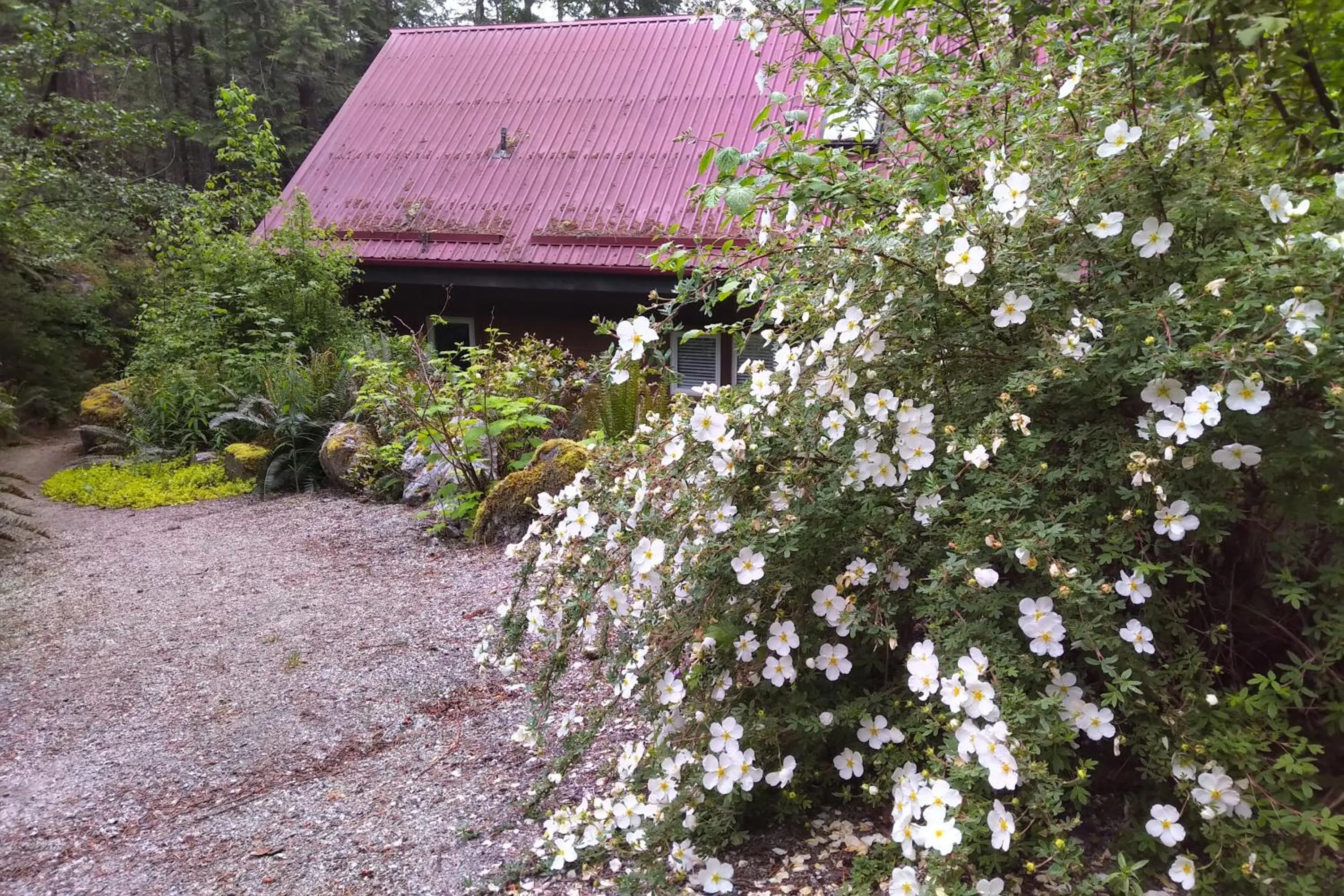 Property building in The Cabin at Moon Dance