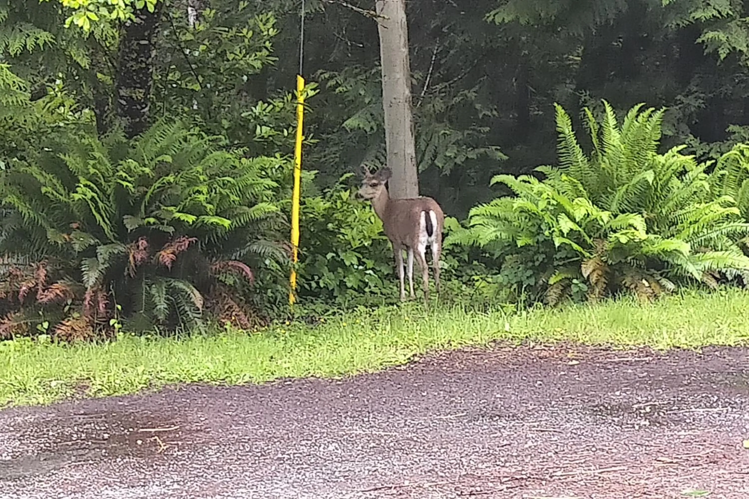 Natural landscape in The Cabin at Moon Dance