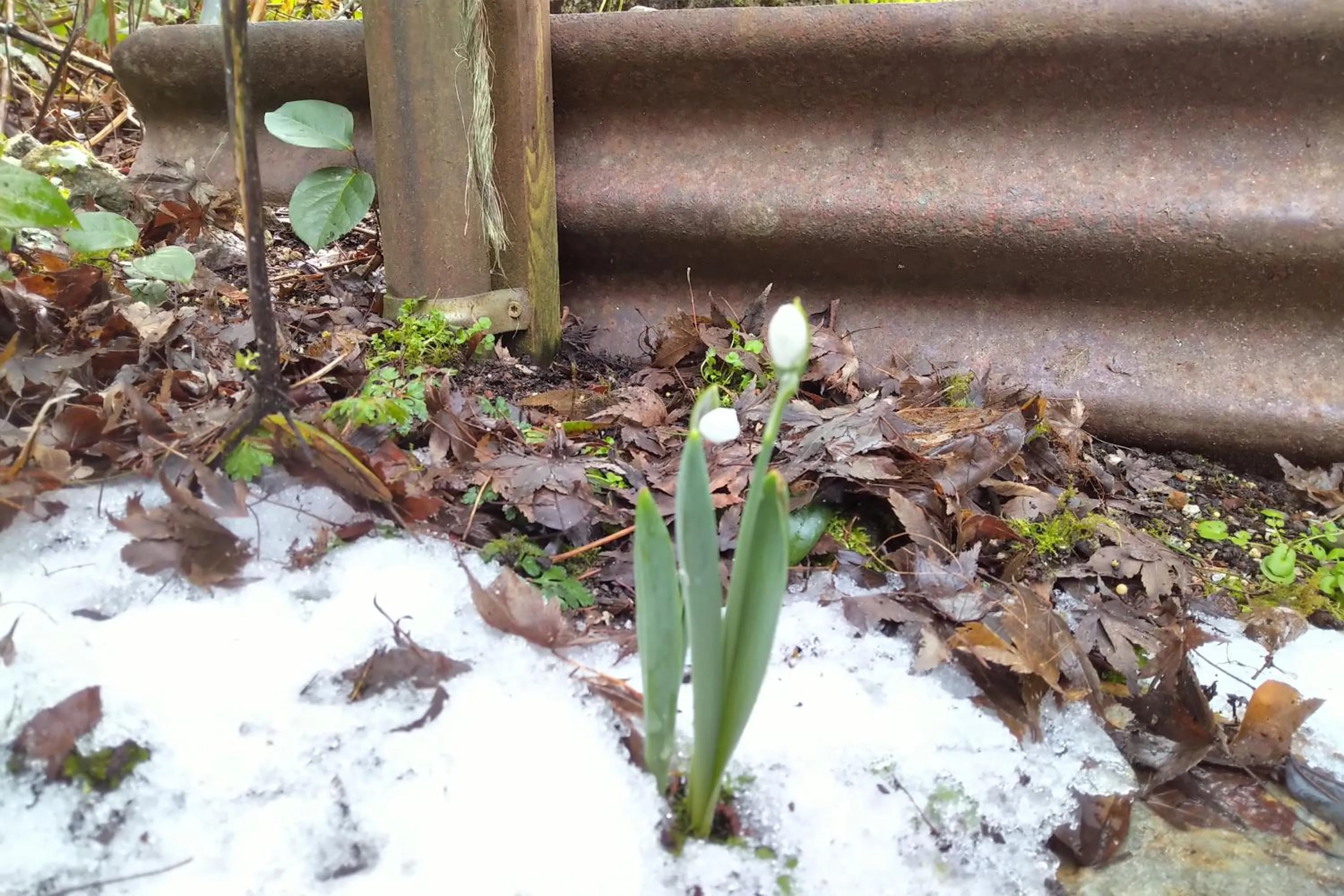 Natural landscape in The Cabin at Moon Dance
