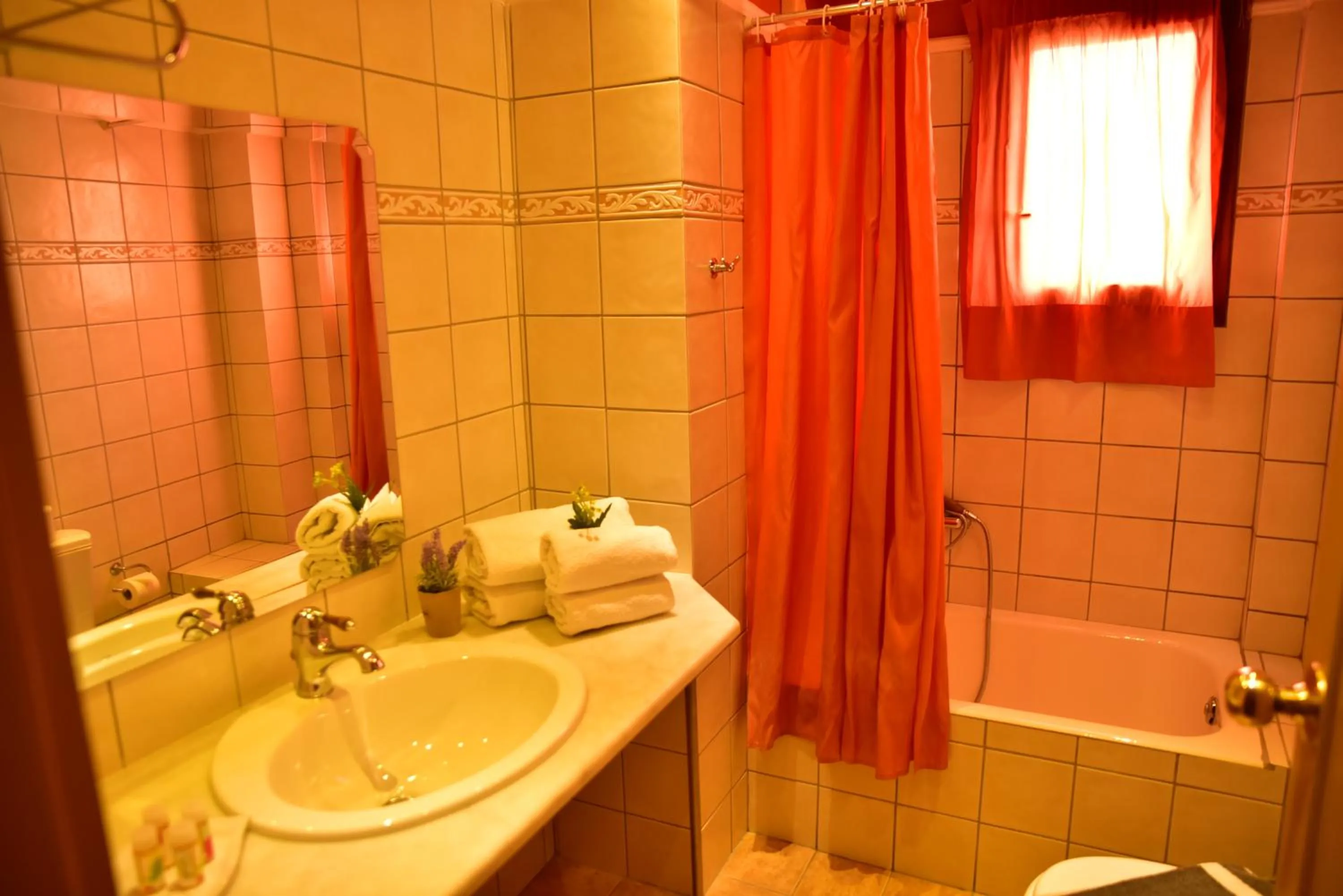 Bathroom in Mont Helmos Hotel