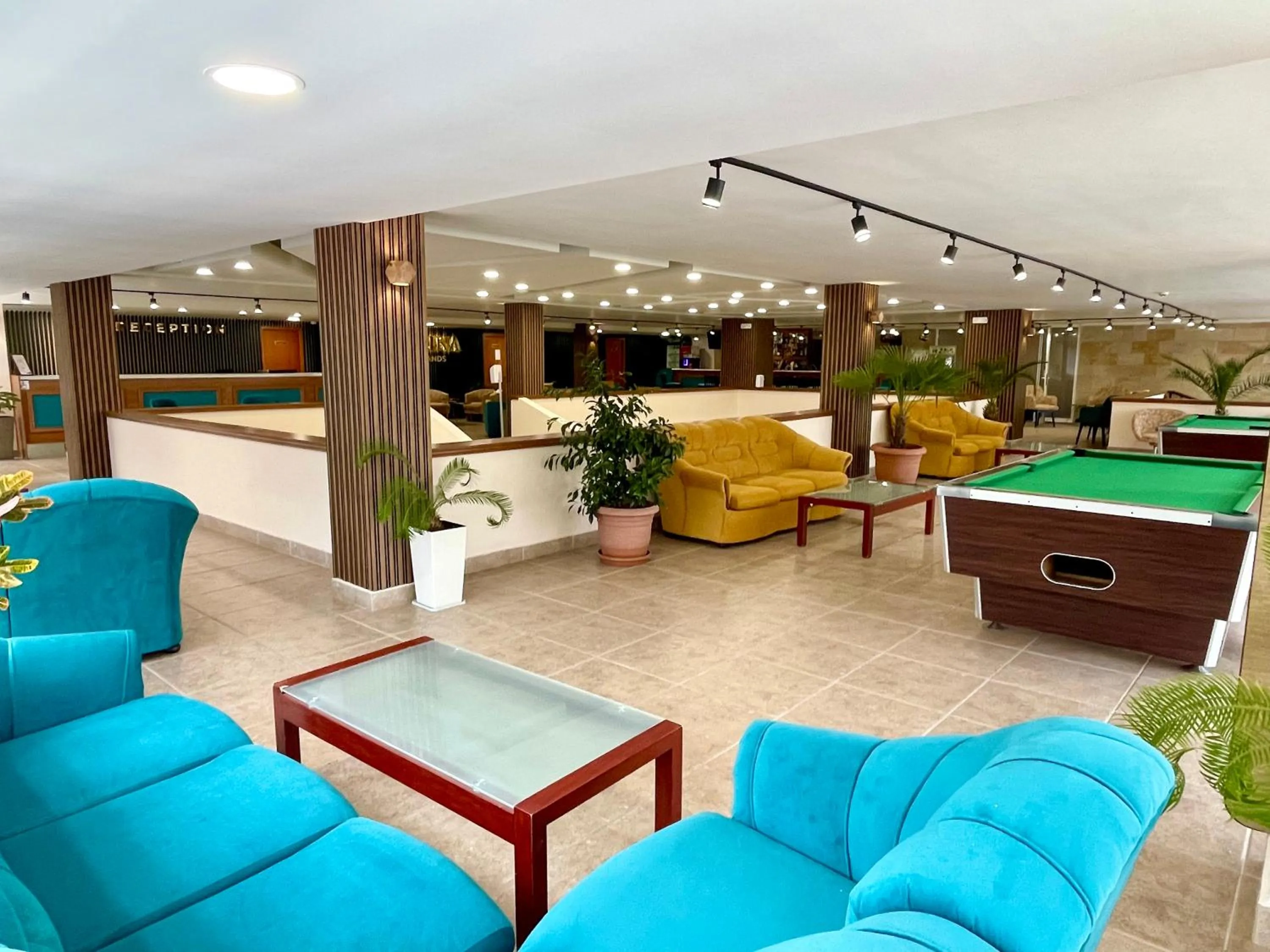 Billiard in BSA Gradina Hotel & Aquapark - All Inclusive
