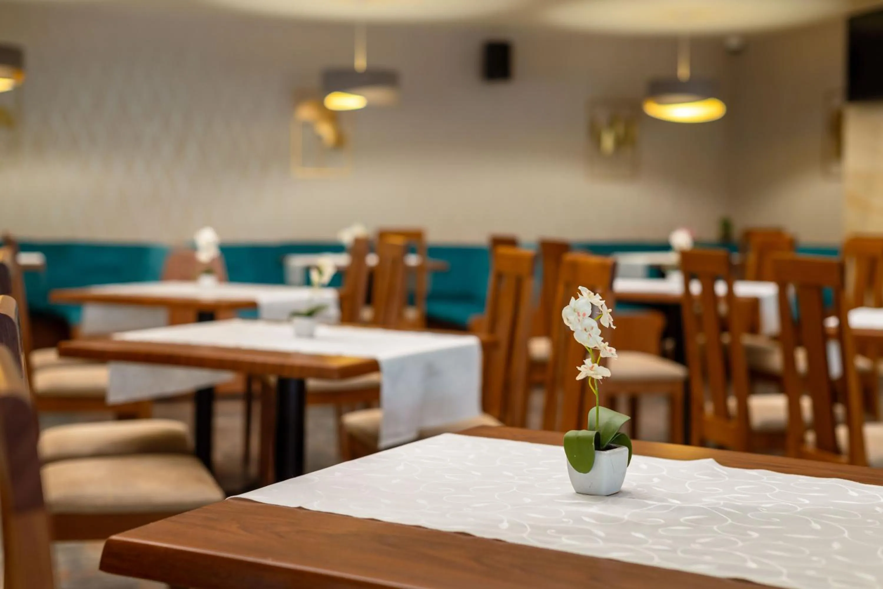 Restaurant/places to eat in BSA Gradina Hotel & Aquapark - All Inclusive