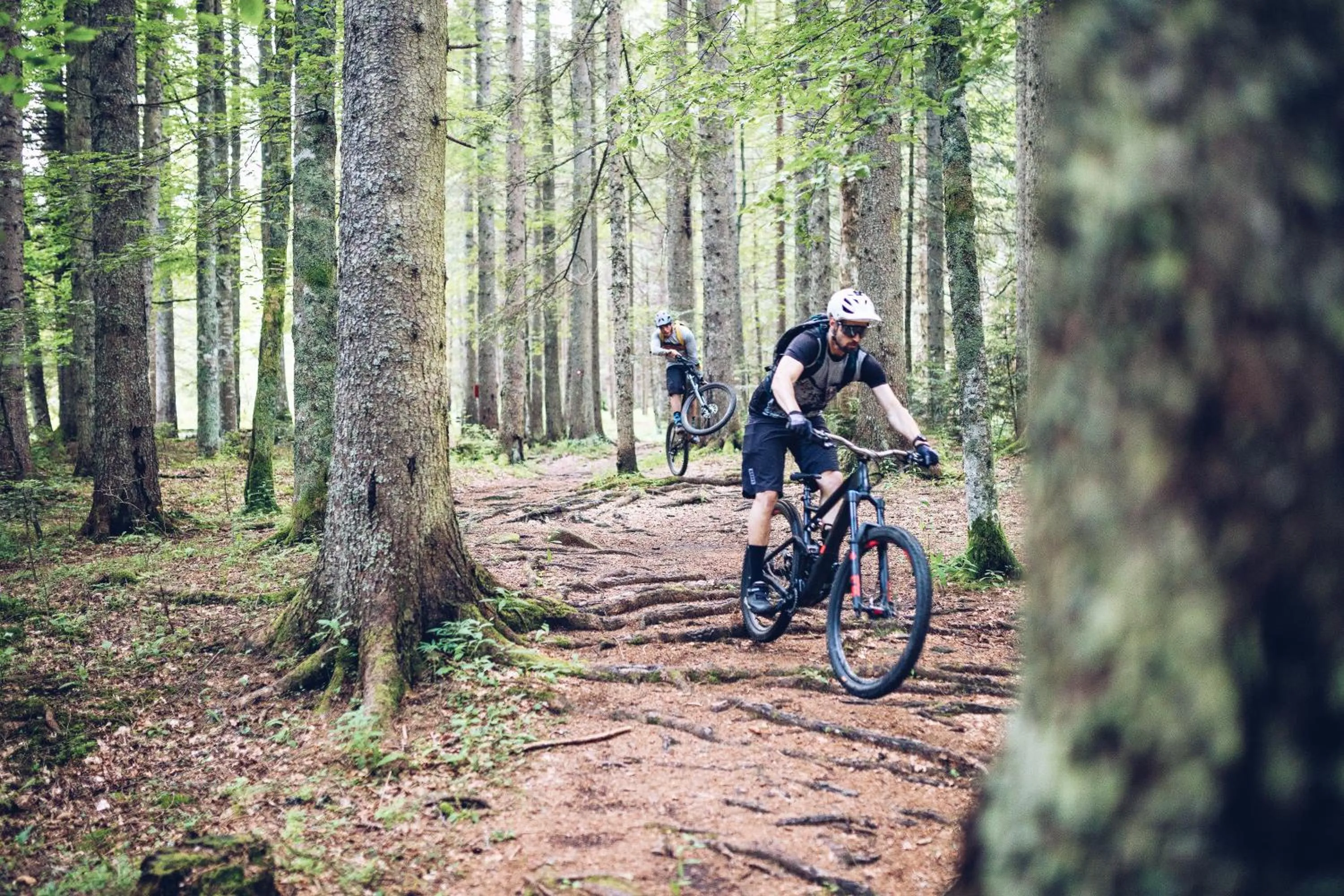 Day in Pohorje Village Wellbeing Resort - Forest Hotel Videc