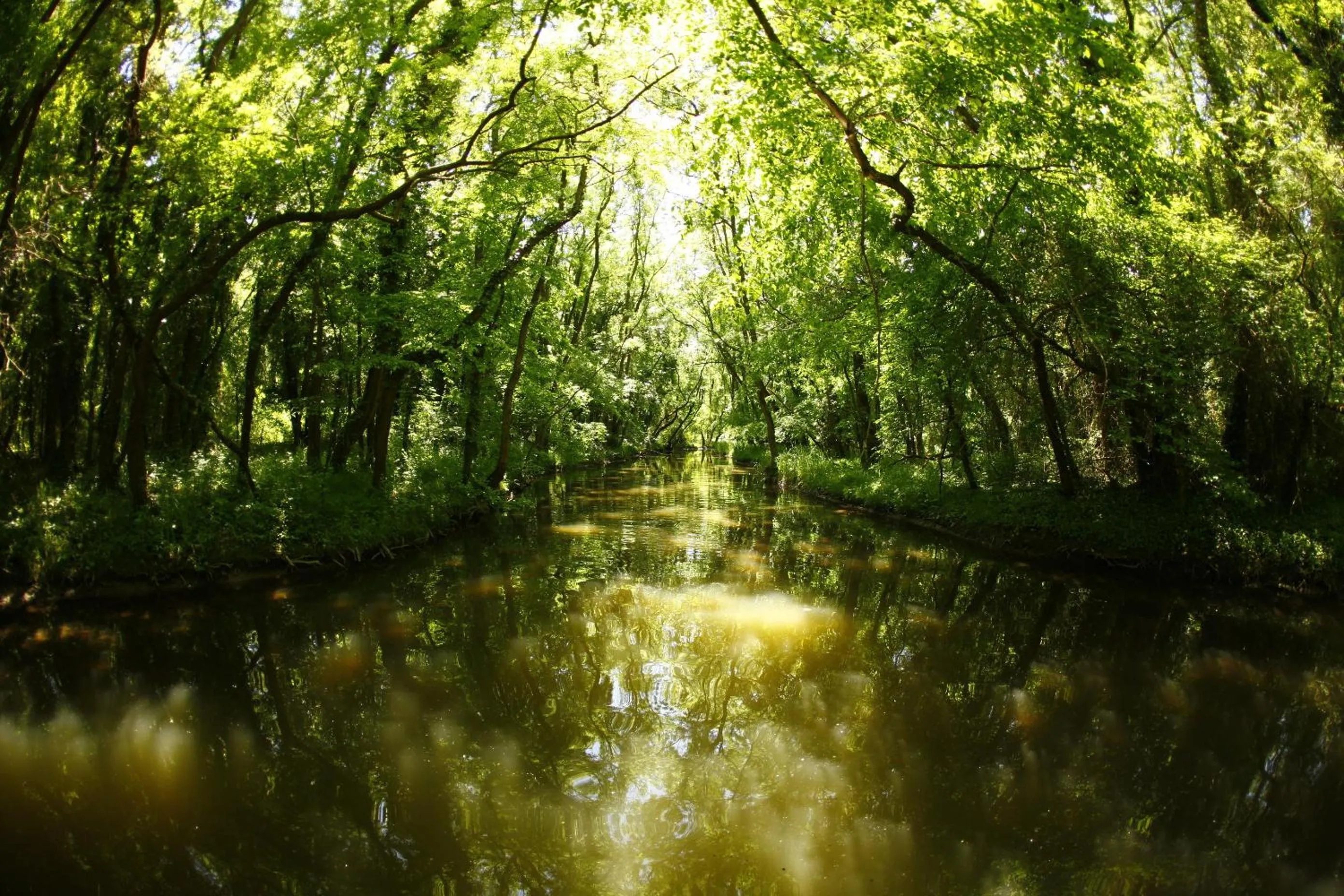 Natural landscape in Hotel Nona