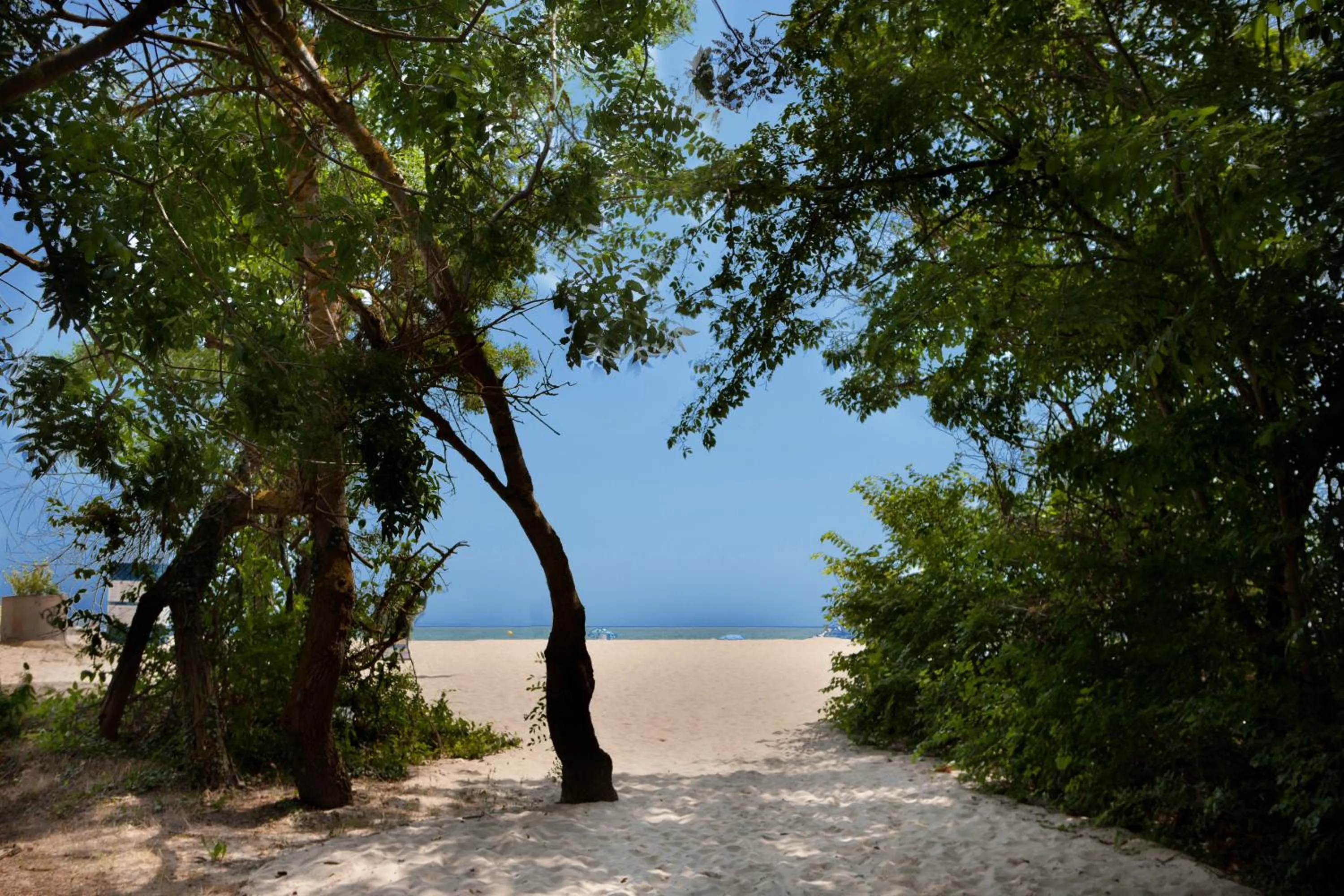 Natural landscape in Hotel Nona