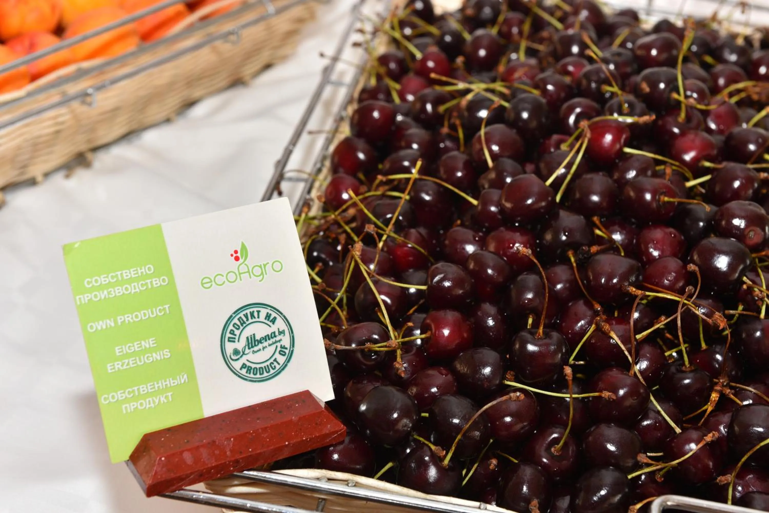 Restaurant/places to eat in Hotel Nona