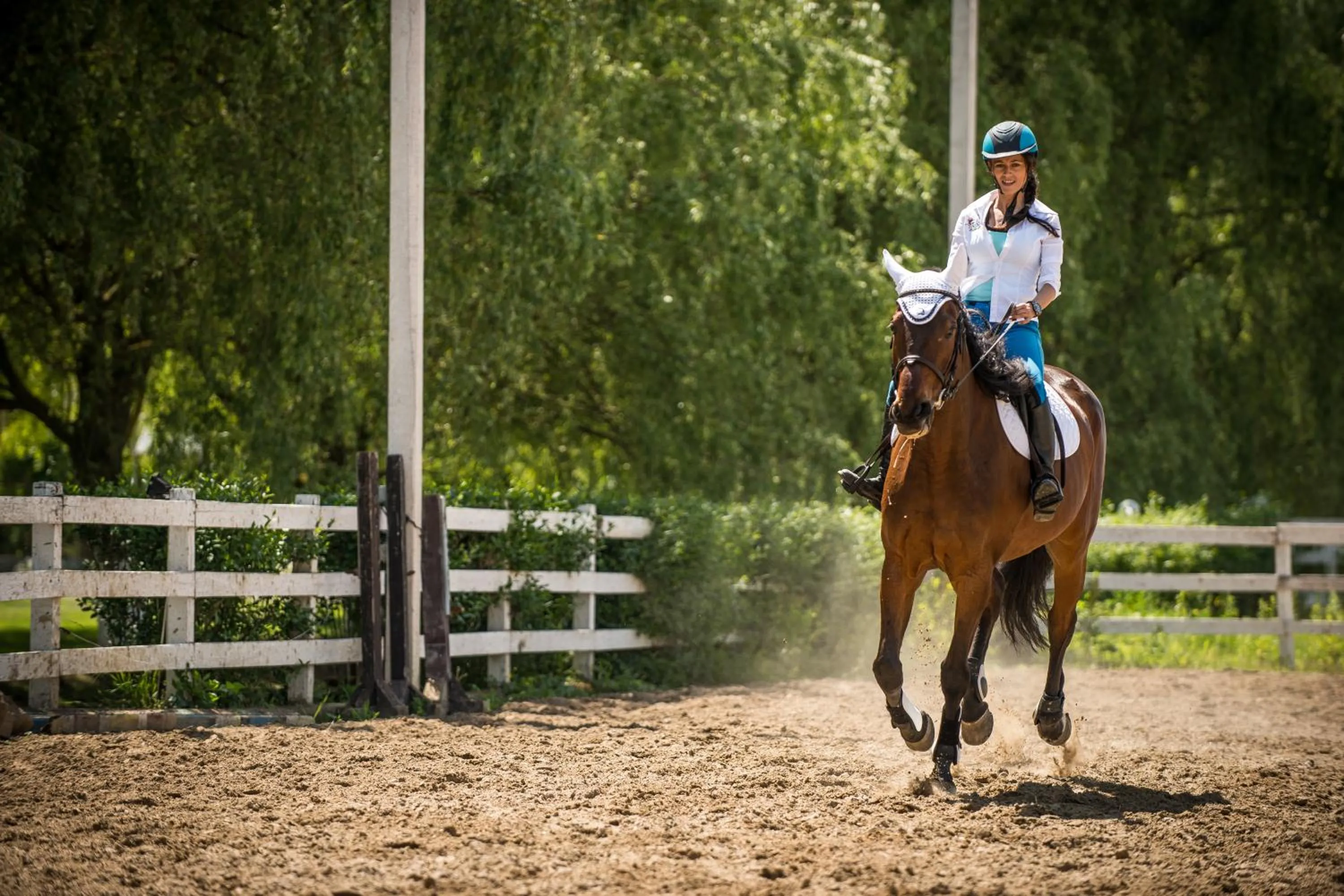 Horse-riding in Conacul Archia