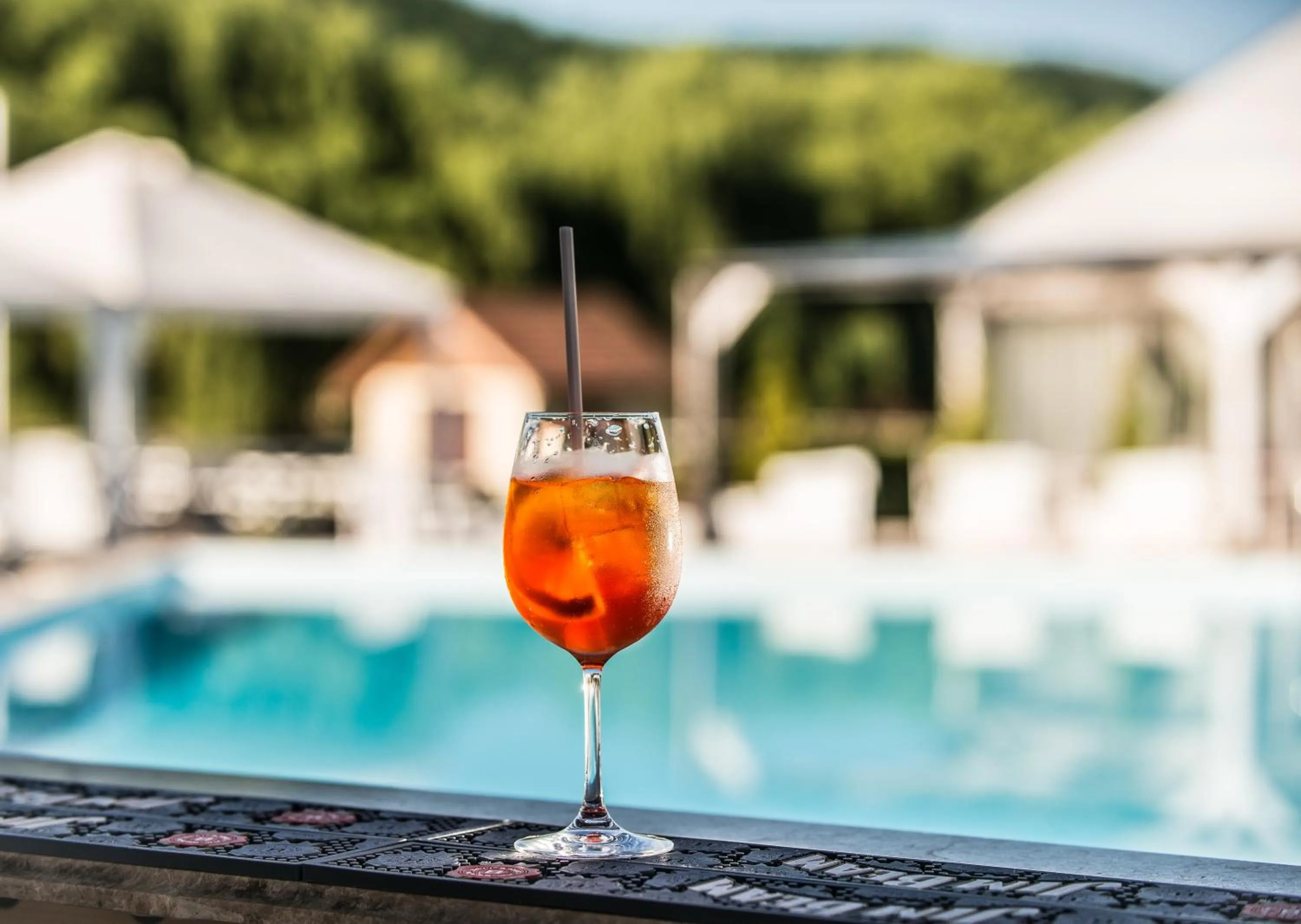 Swimming pool in Conacul Archia