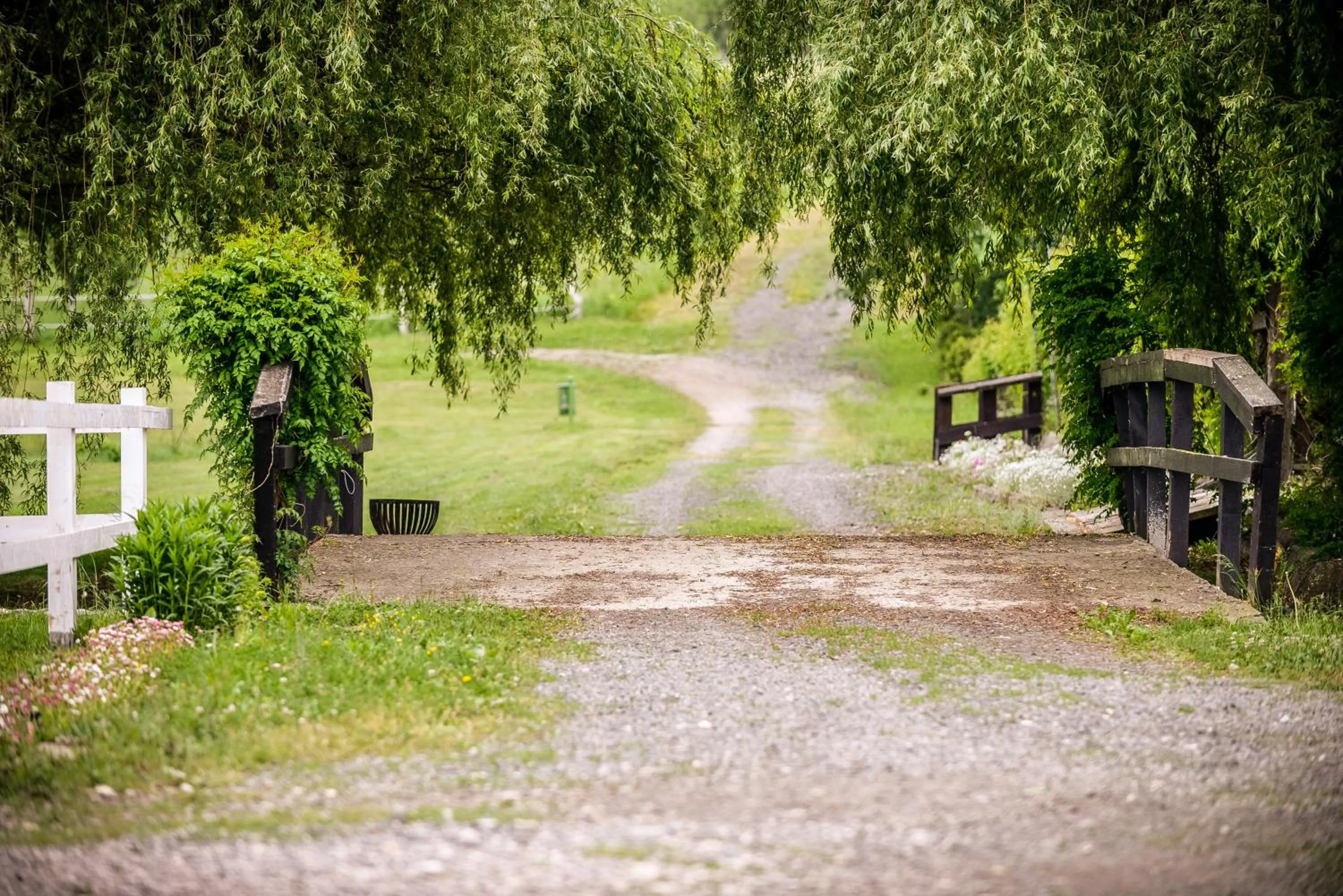 Natural landscape in Conacul Archia
