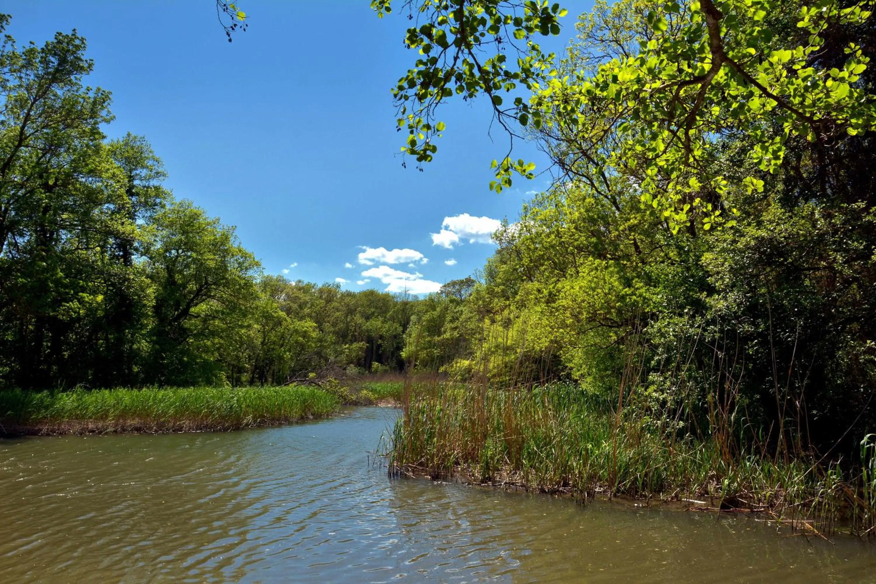 Natural landscape in Hotel Slavuna