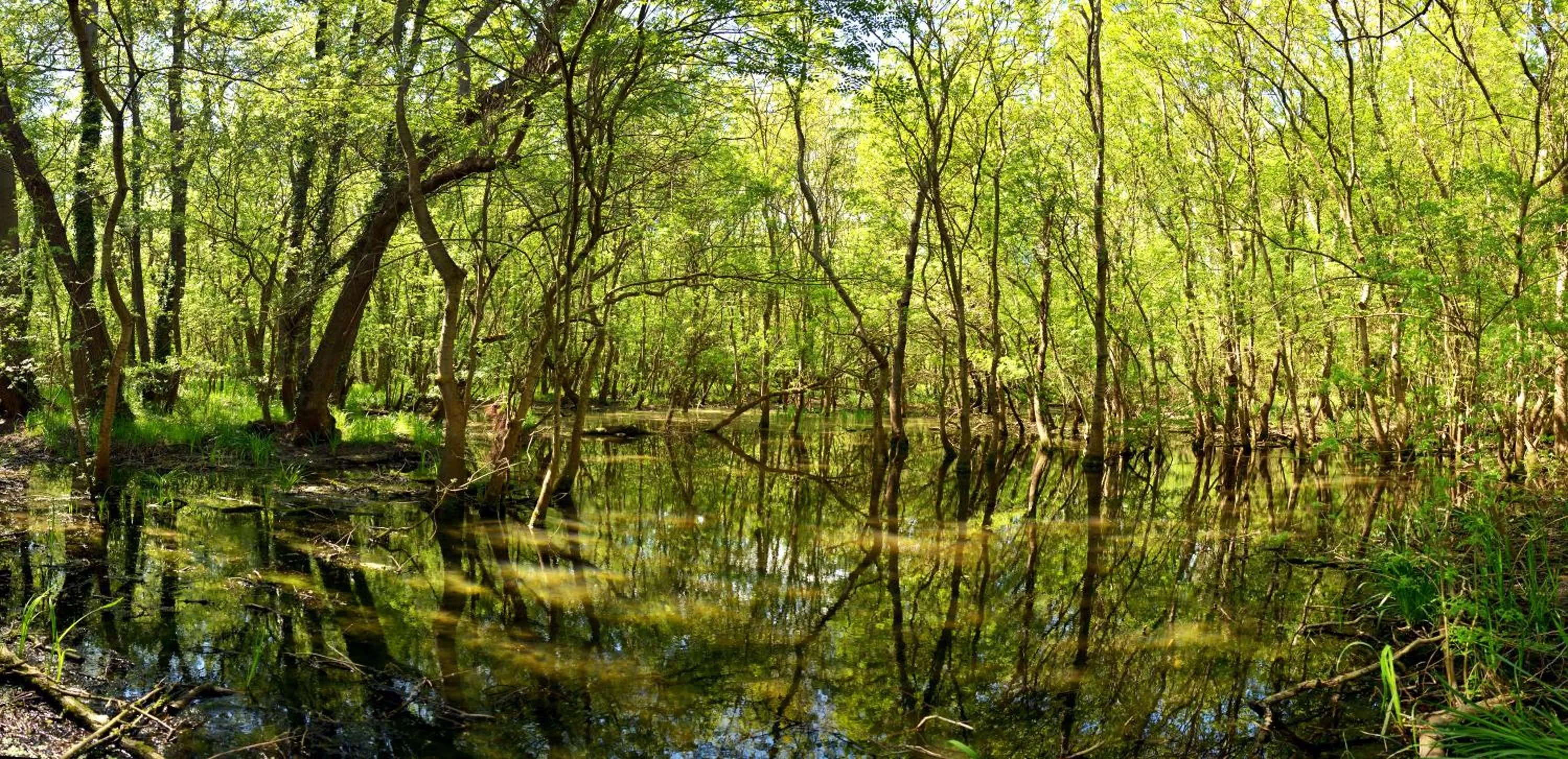 Natural landscape in Hotel Slavuna