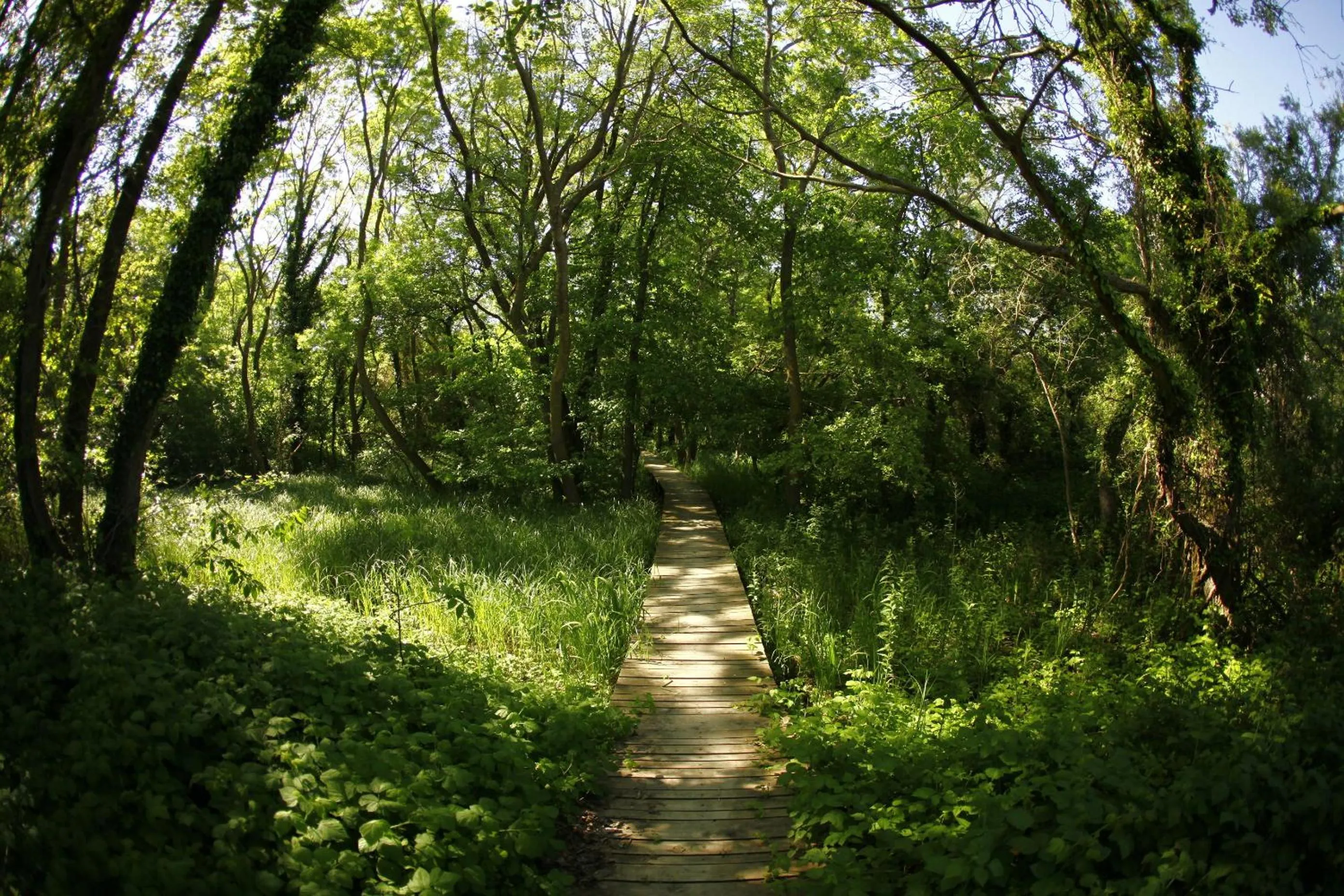 Natural landscape in Hotel Slavuna