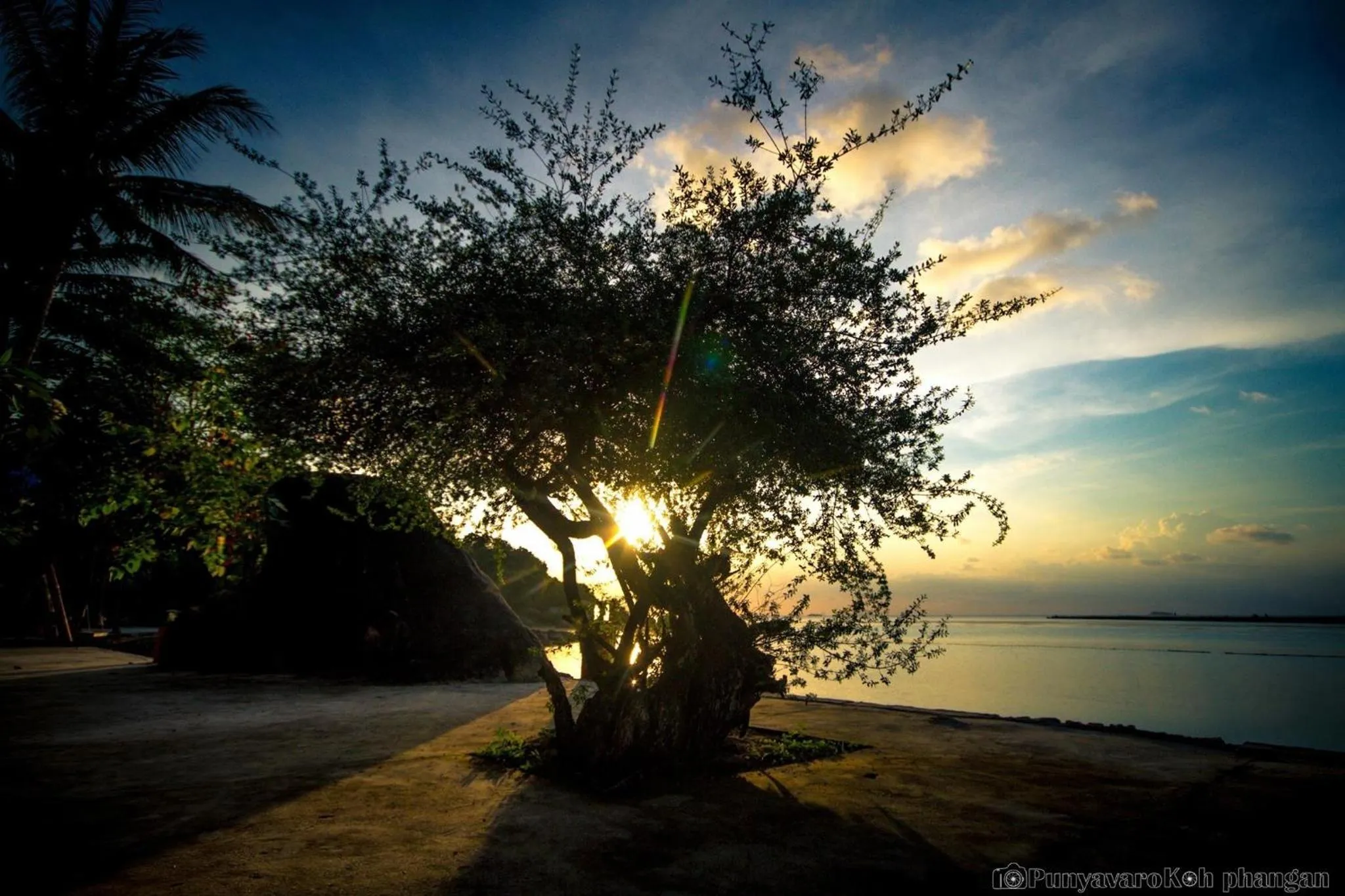 Other in Tharathip Resort Koh Phangan - SHA Plus