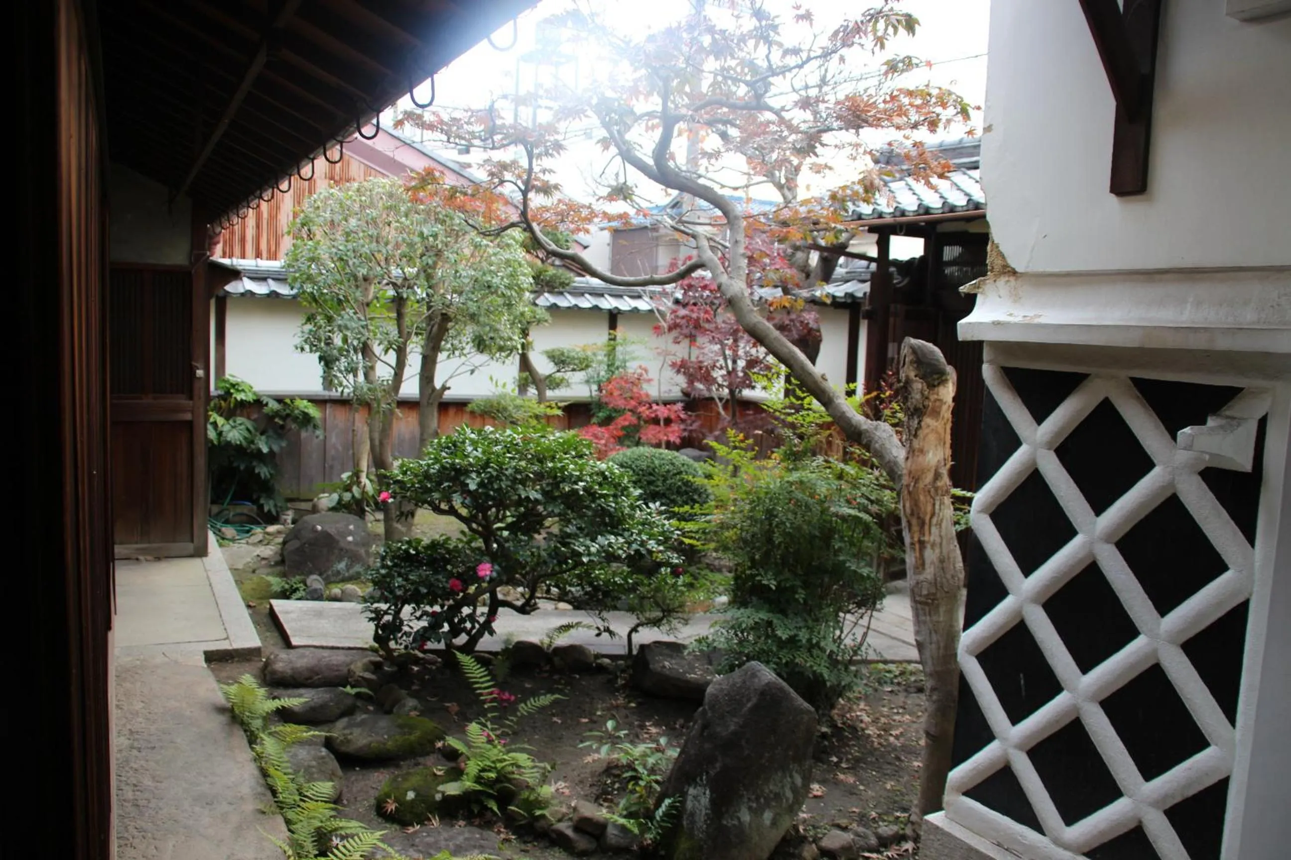 Garden in HARUYA Naramachi