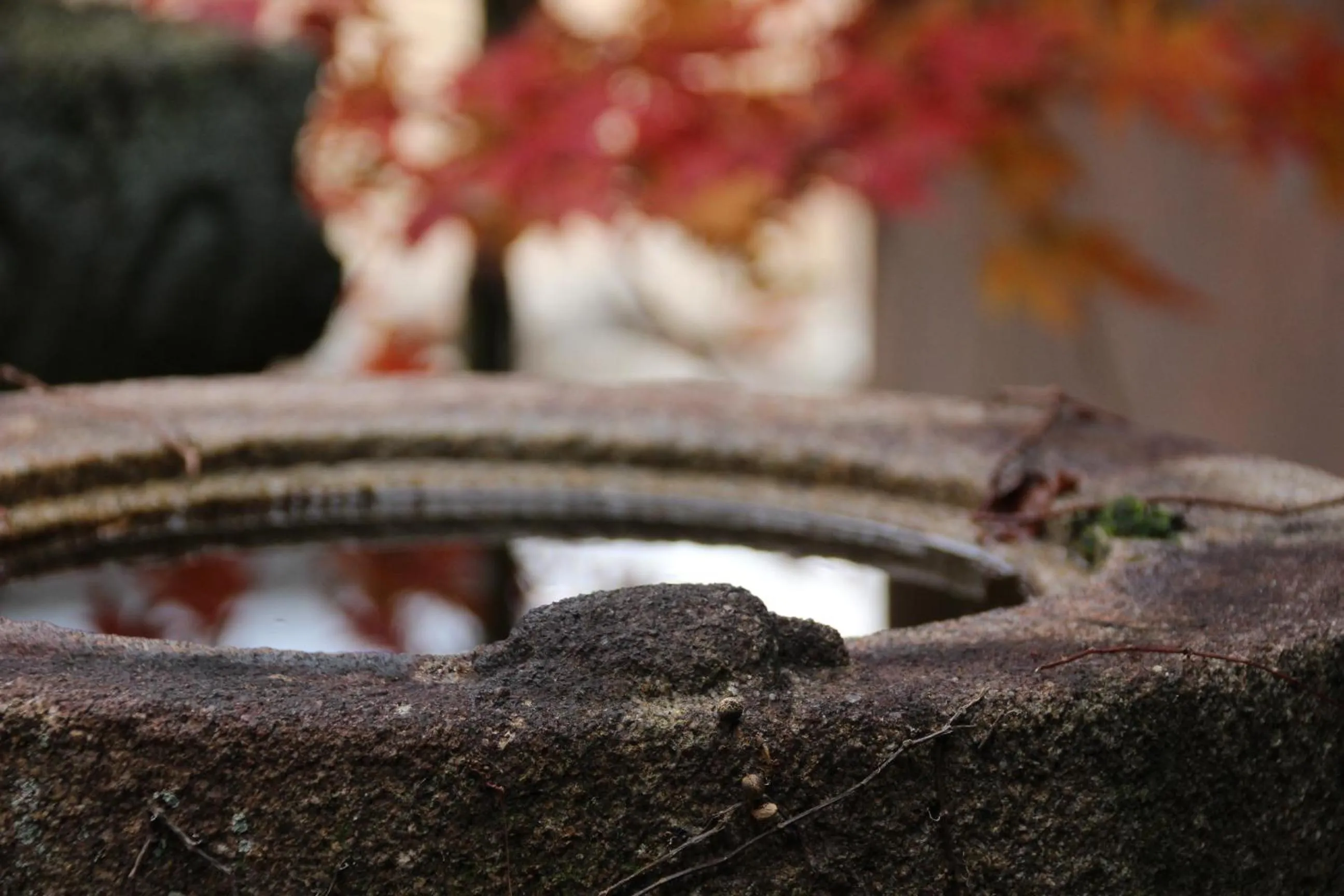 Garden in HARUYA Naramachi