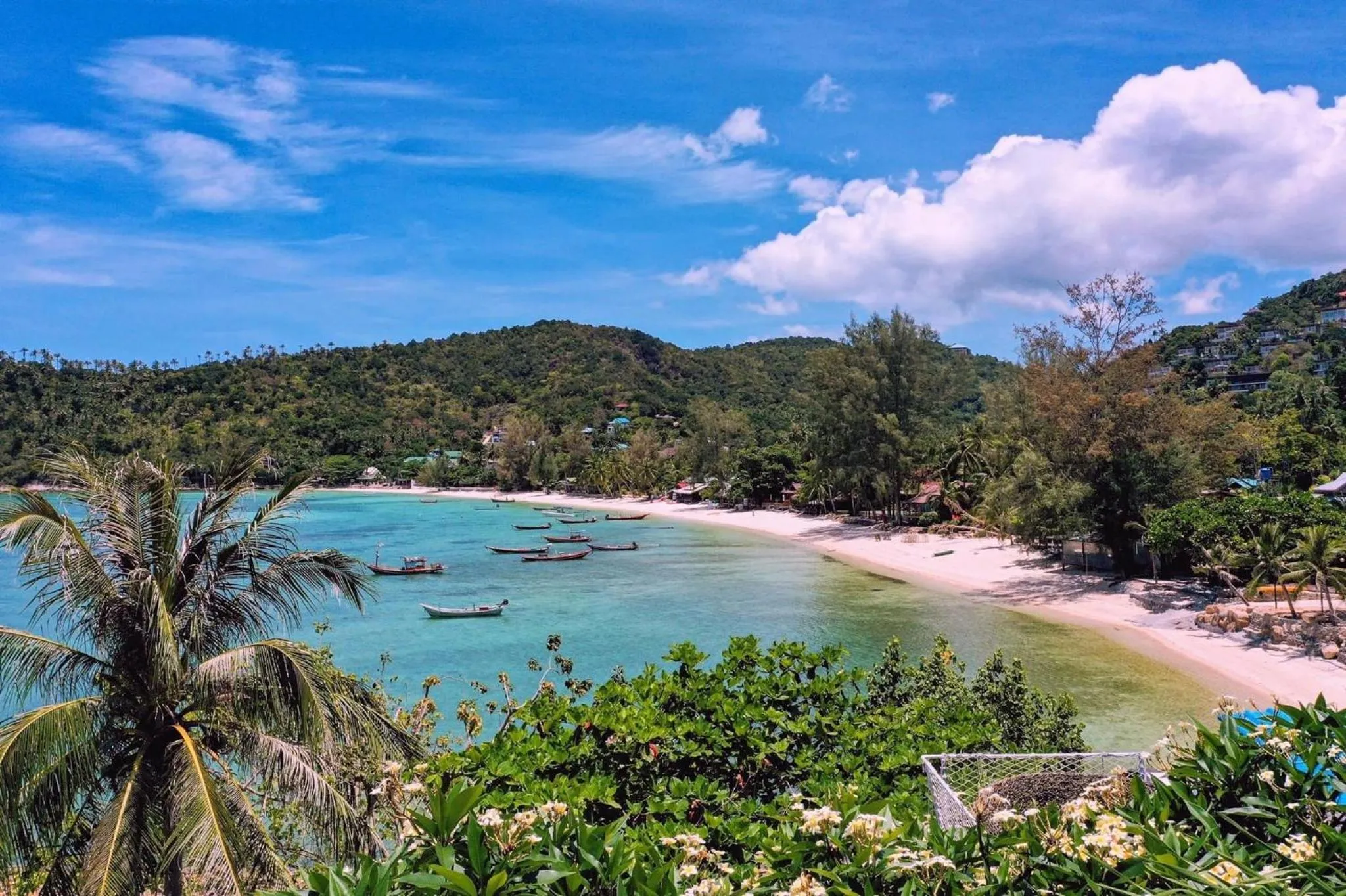 Cookies Salad Resort