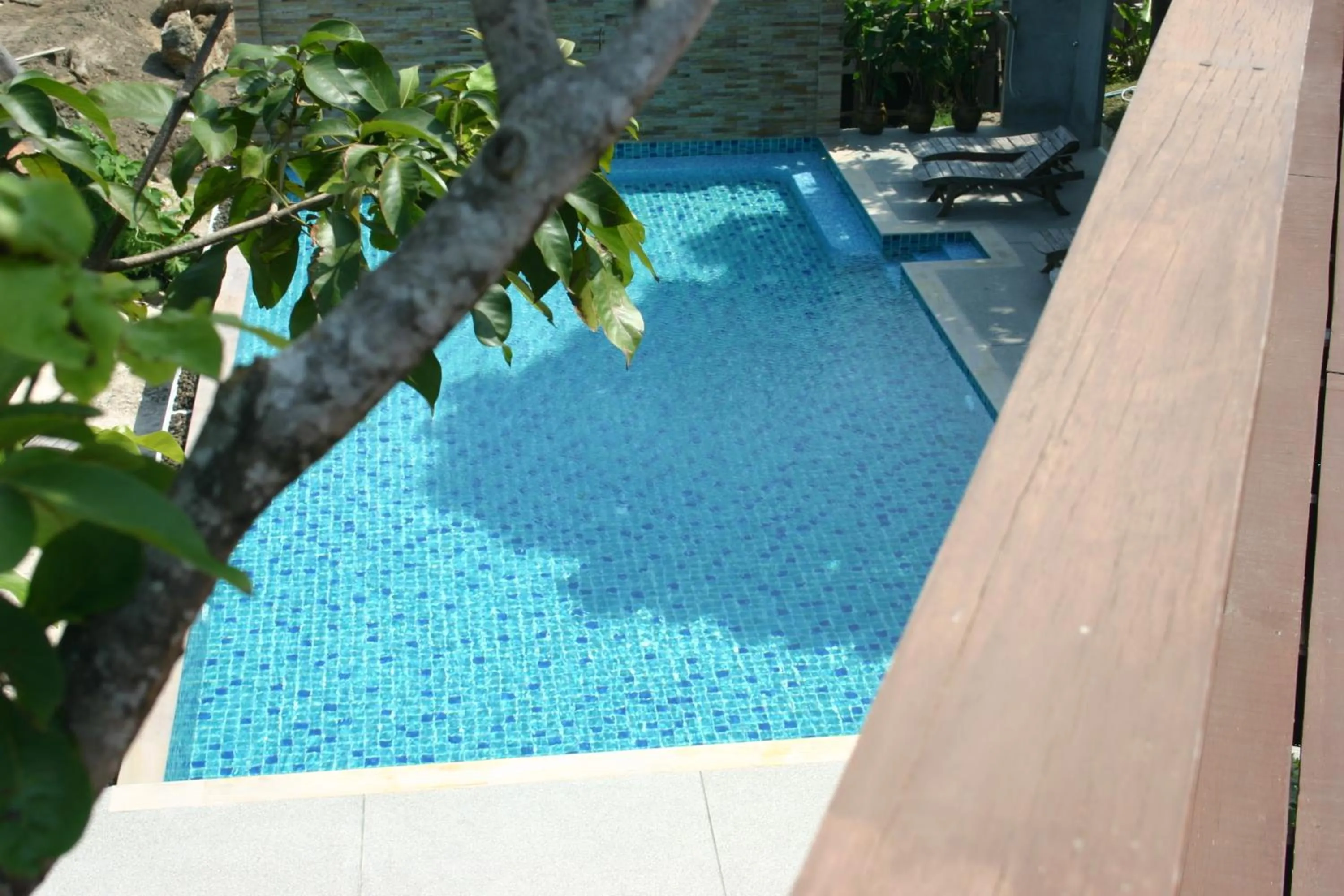 Swimming pool in Cookies Salad Resort