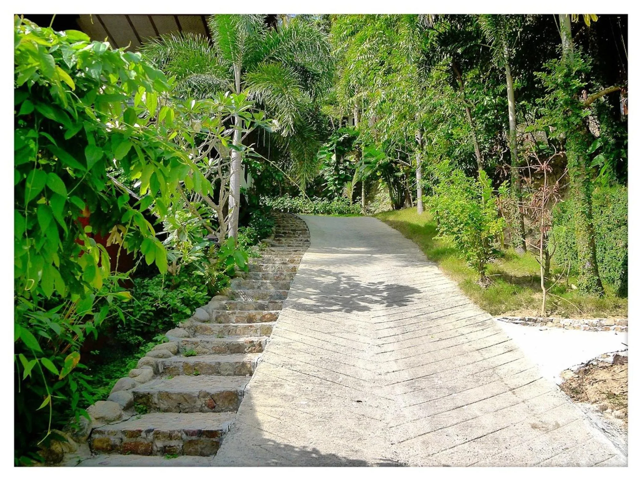Natural landscape in Cookies Salad Resort