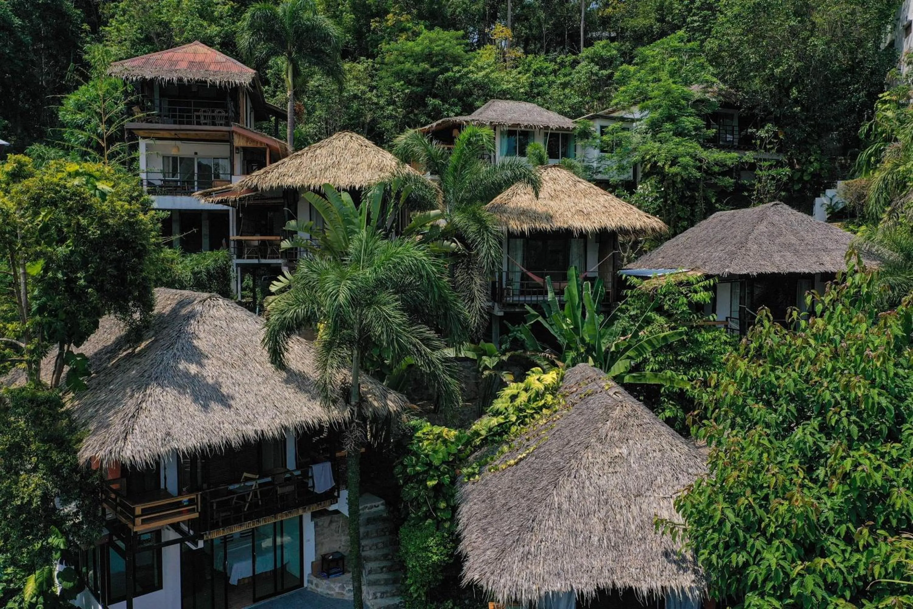 Cookies Salad Resort