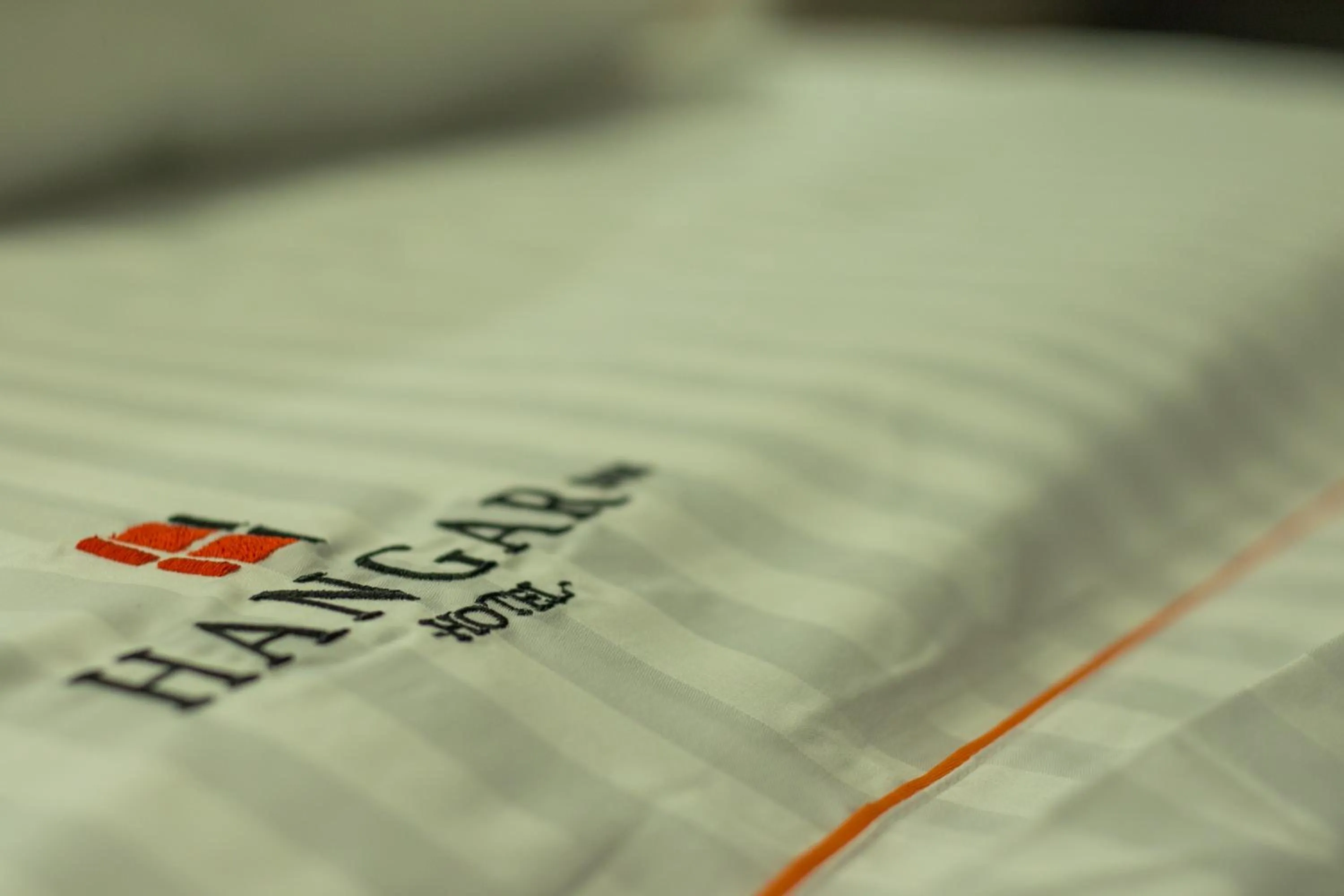 Hangar Inn Guadalajara Aeropuerto