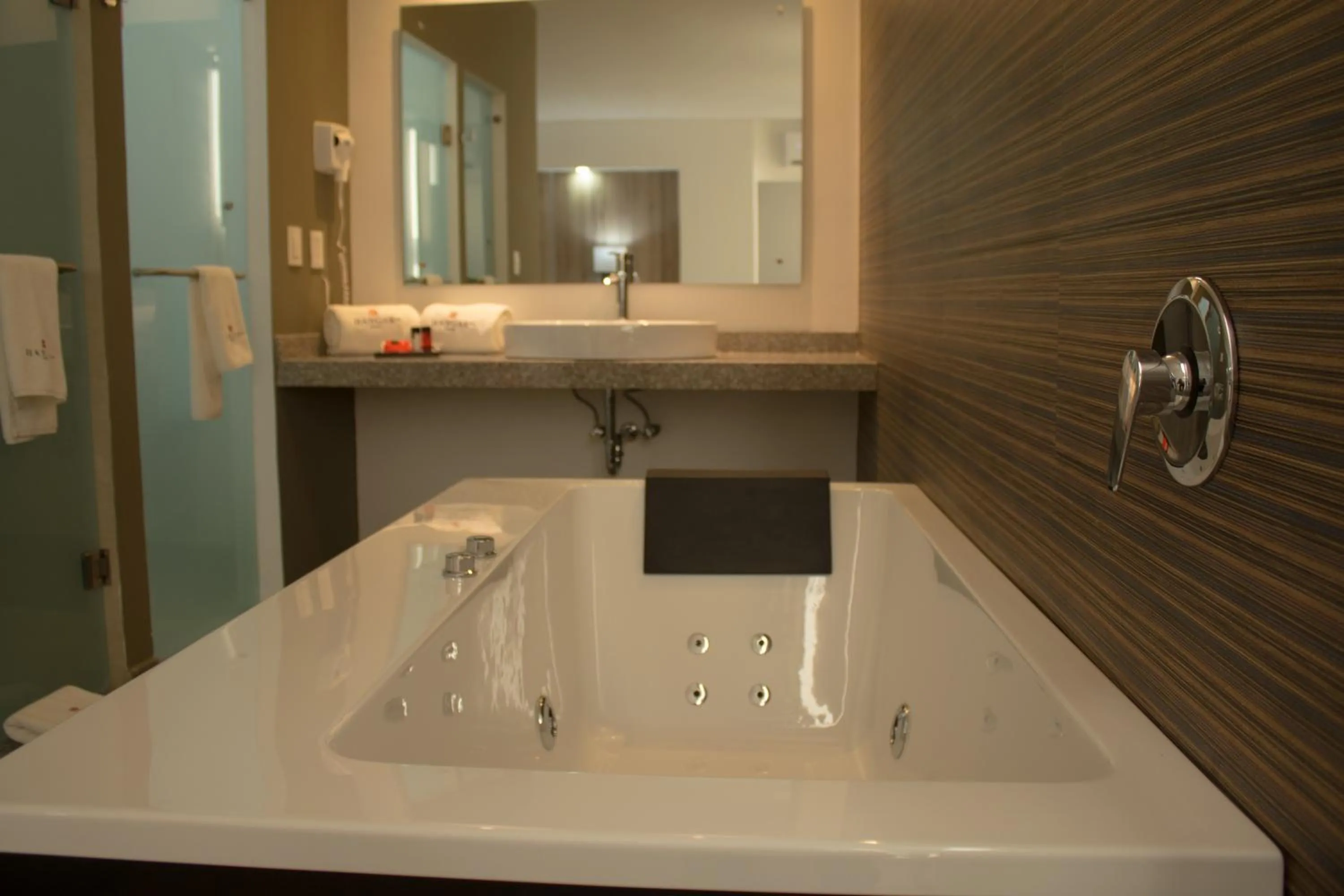 Hangar Inn Guadalajara Aeropuerto